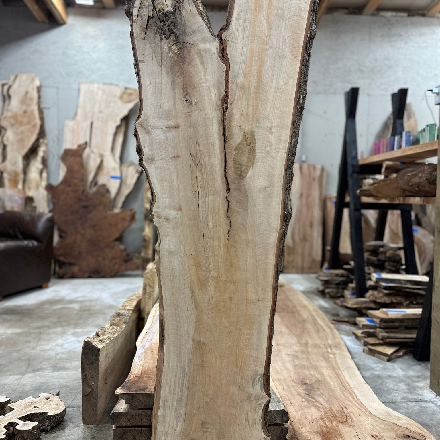 LiveEdge Silver Maple | Silver Maple | Hamilton Lee Supply