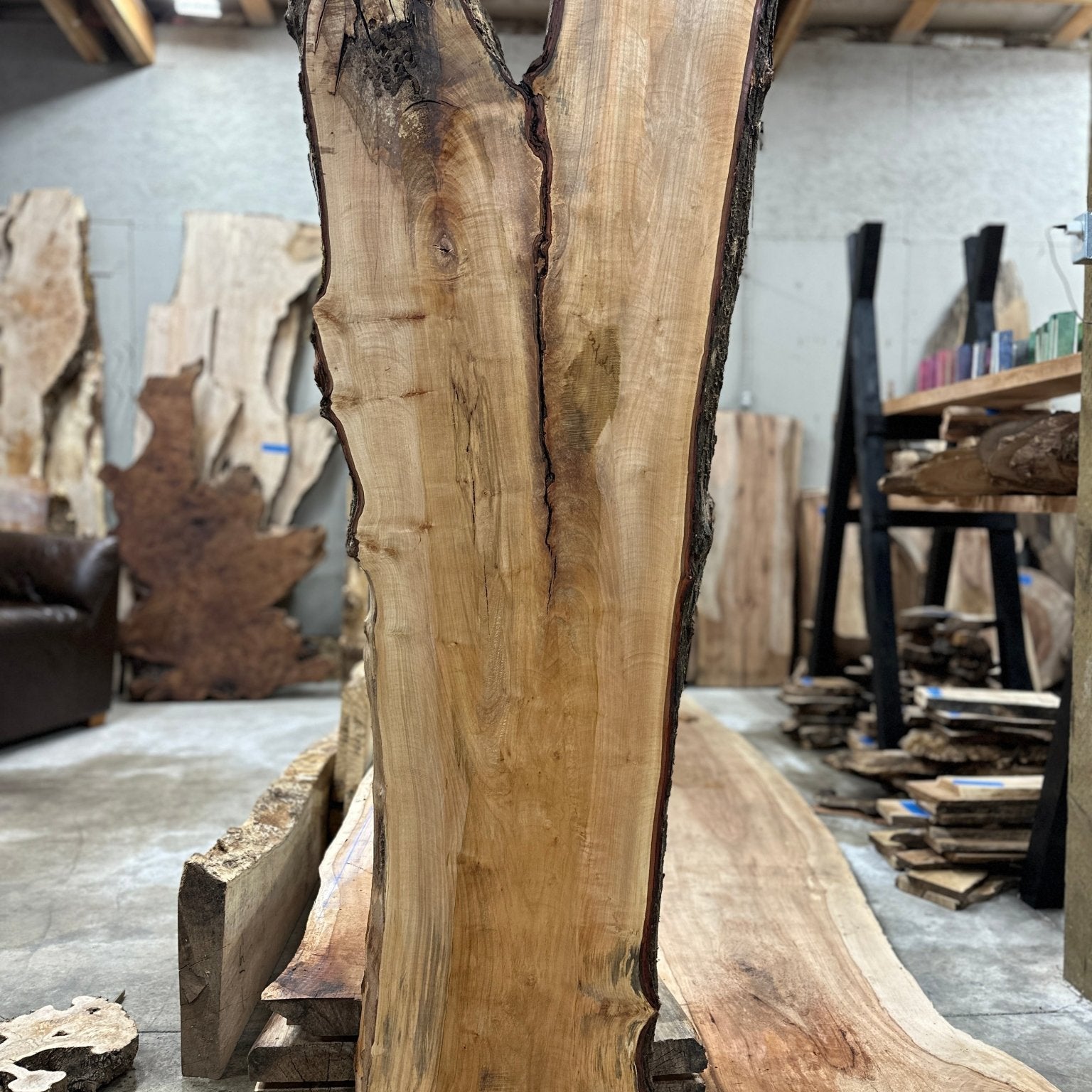 LiveEdge Silver Maple | Silver Maple | Hamilton Lee Supply