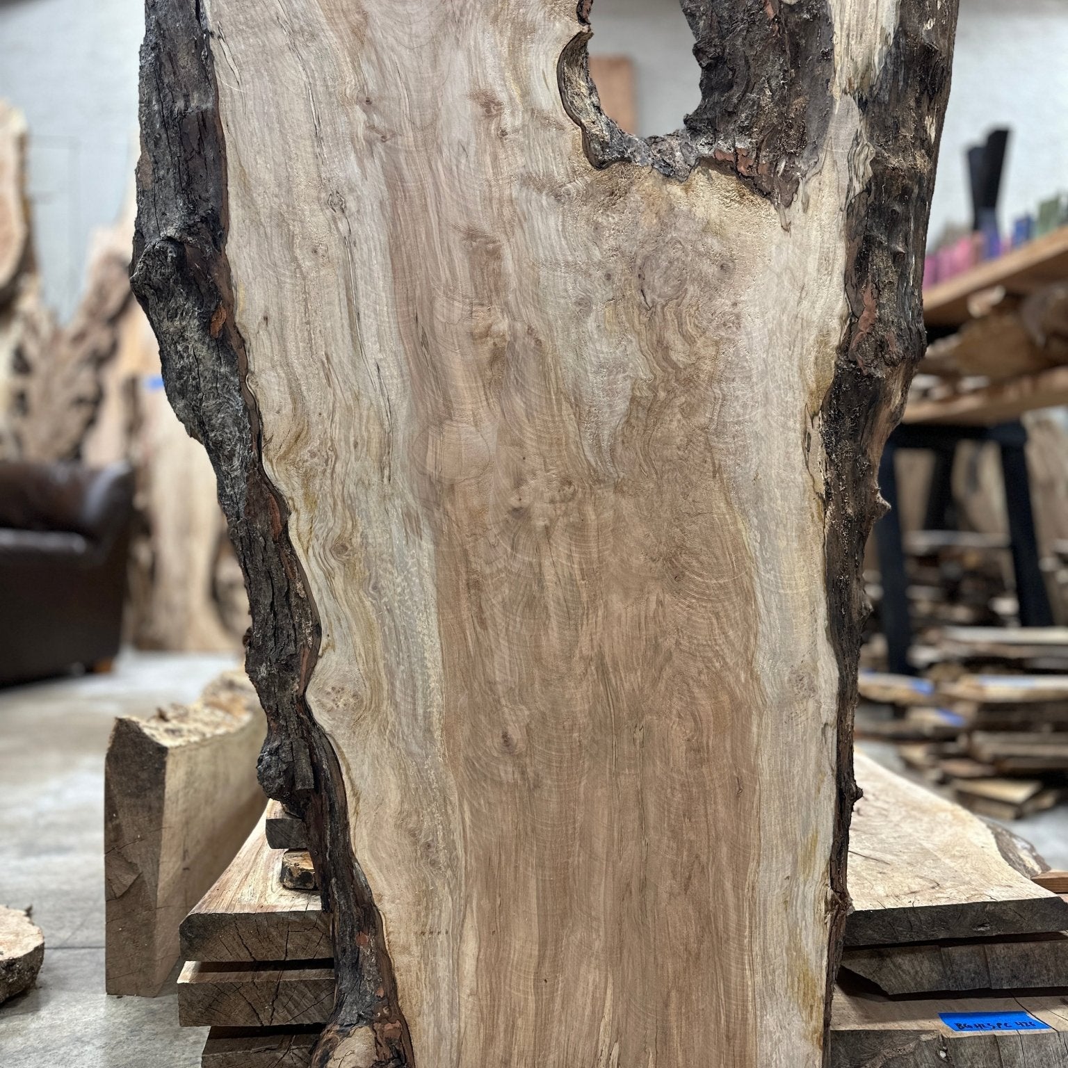 LiveEdge Silver Maple | Silver Maple | Hamilton Lee Supply