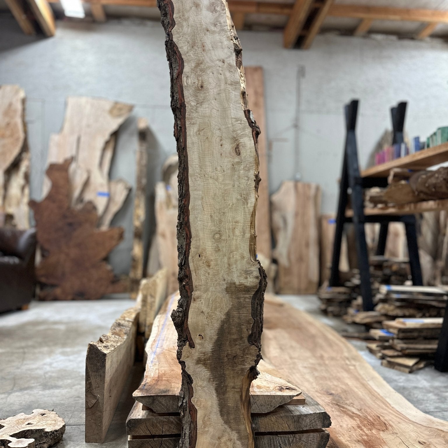LiveEdge Silver Maple | Silver Maple | Hamilton Lee Supply