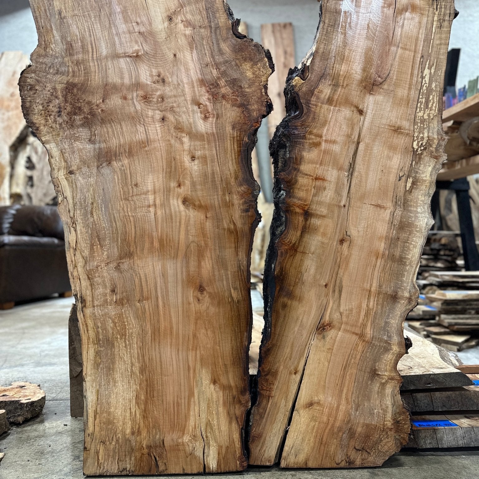 LiveEdge Silver Maple | Silver Maple | Hamilton Lee Supply