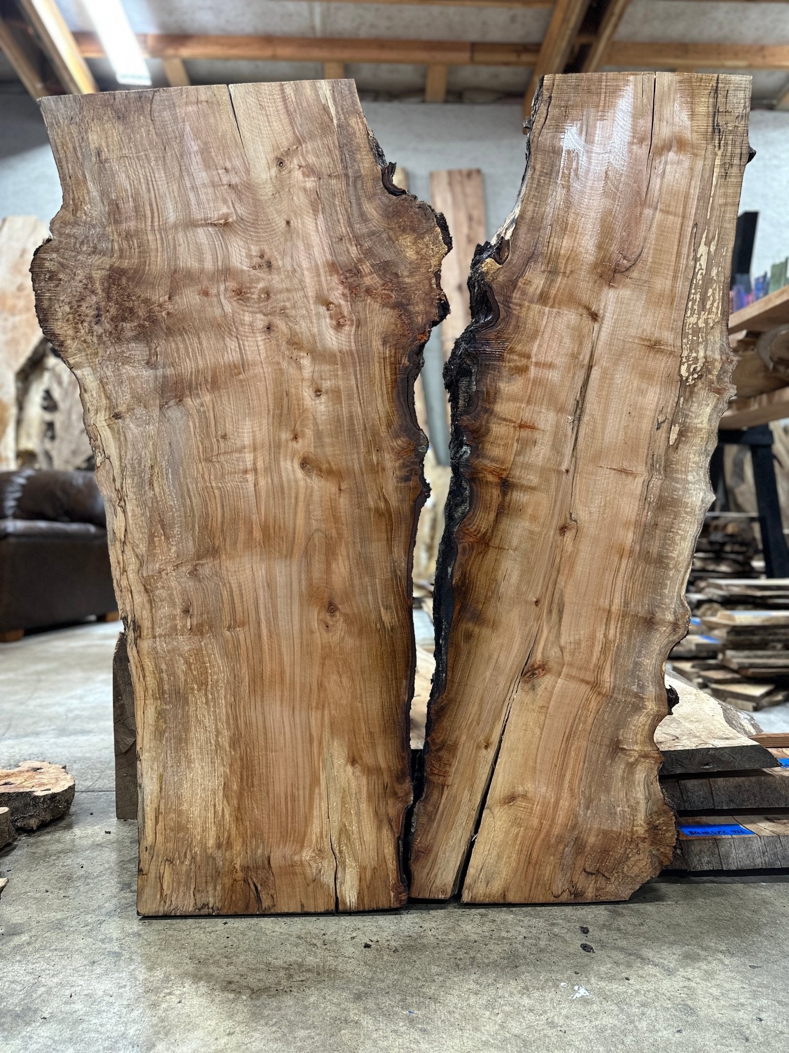 LiveEdge Silver Maple | Silver Maple | Hamilton Lee Supply