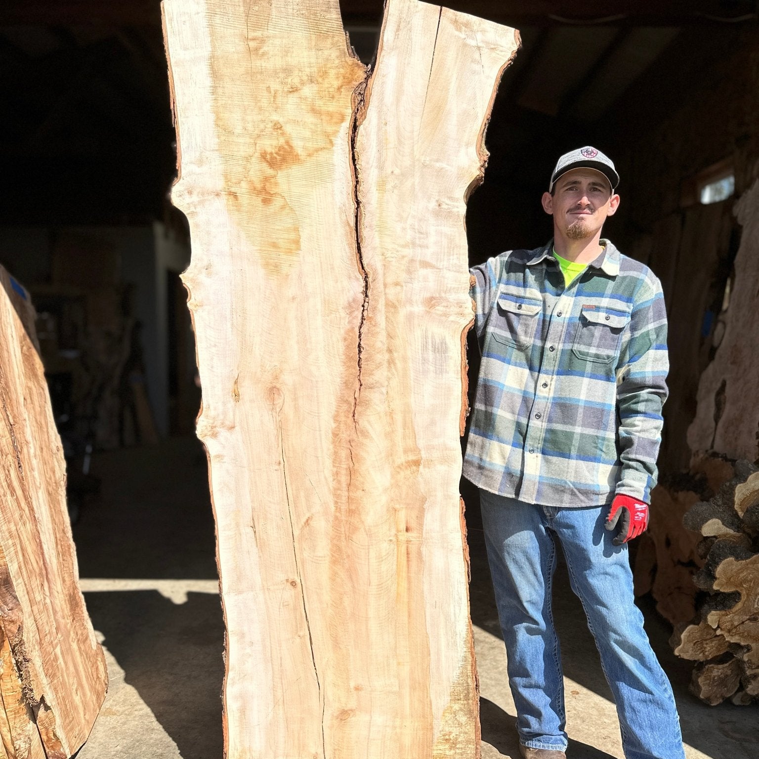 LiveEdge Silver Maple | Silver Maple | Hamilton Lee Supply