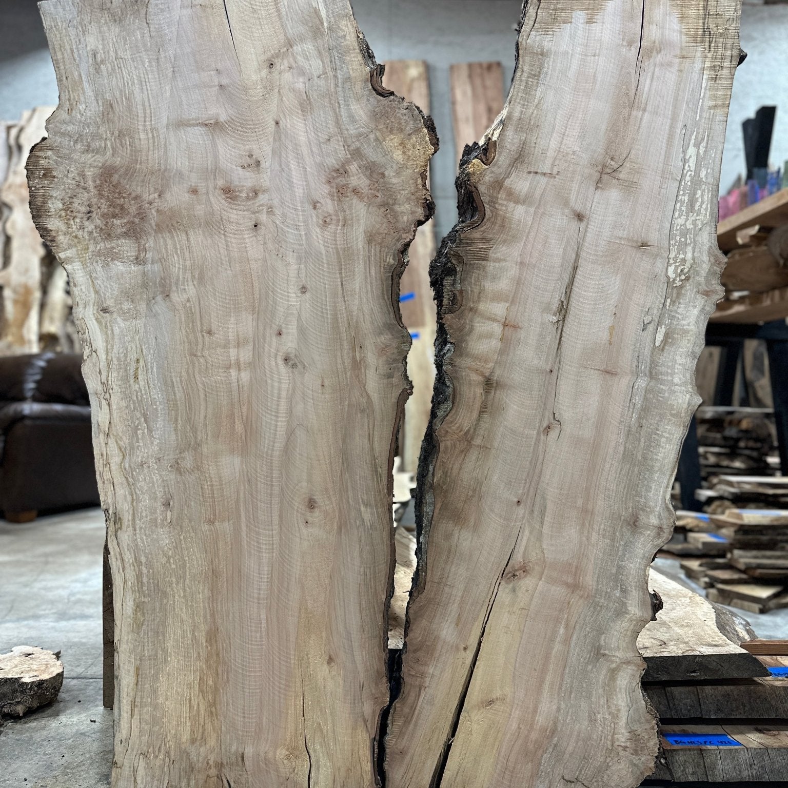 LiveEdge Silver Maple | Silver Maple | Hamilton Lee Supply