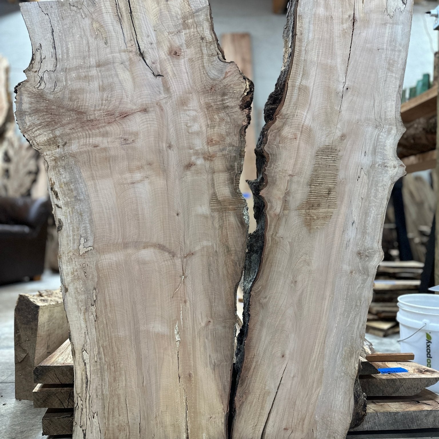 LiveEdge Silver Maple | Silver Maple | Hamilton Lee Supply
