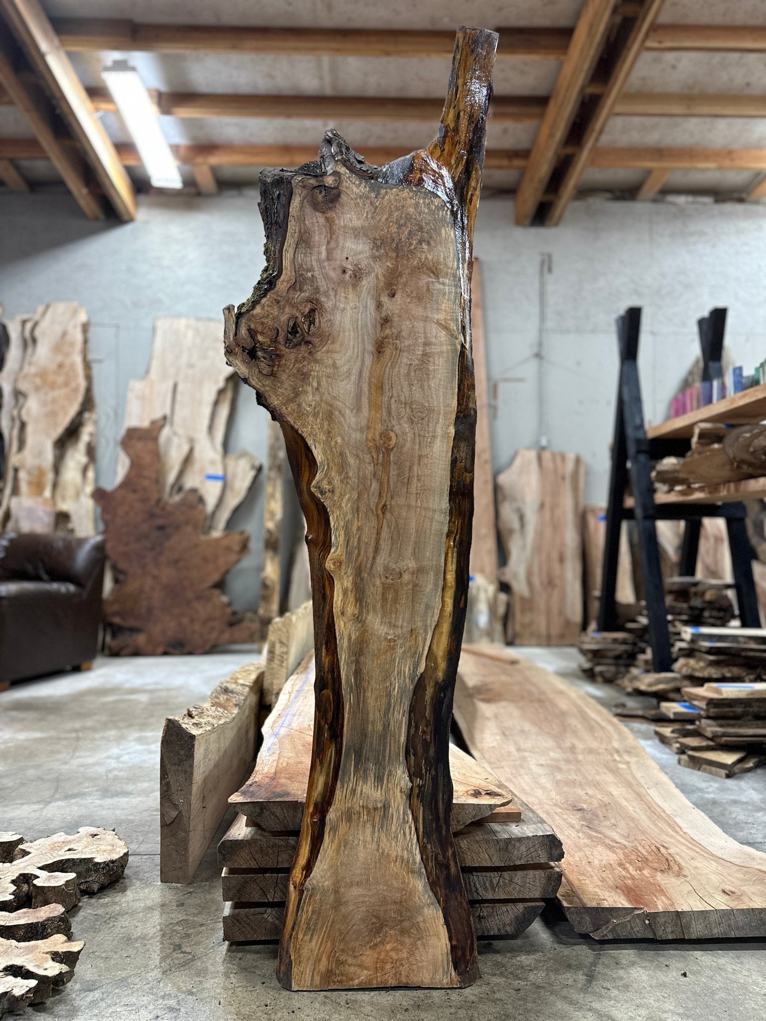 LiveEdge Silver Maple | Silver Maple | Hamilton Lee Supply