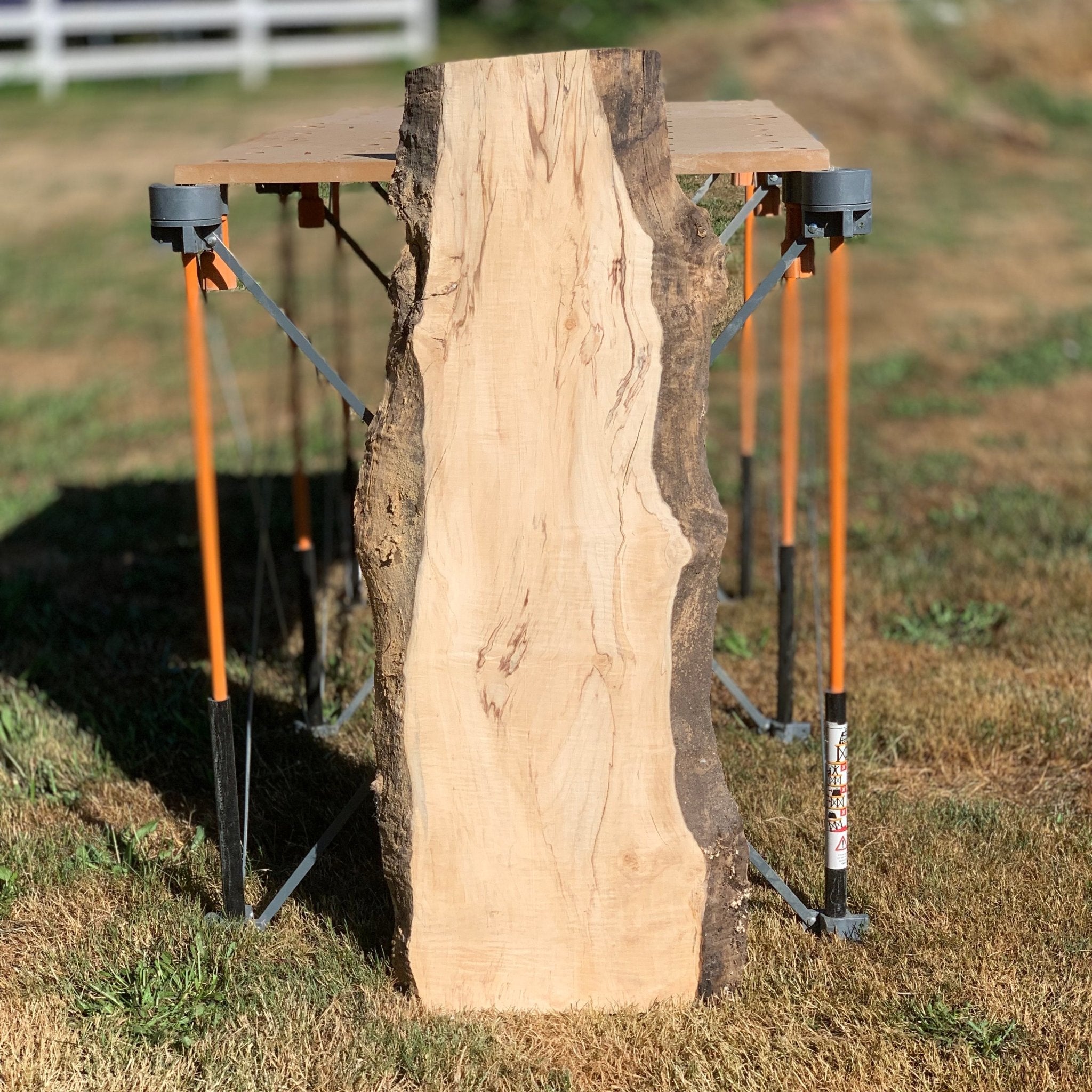 LiveEdge Silver Maple | | Hamilton Lee Supply