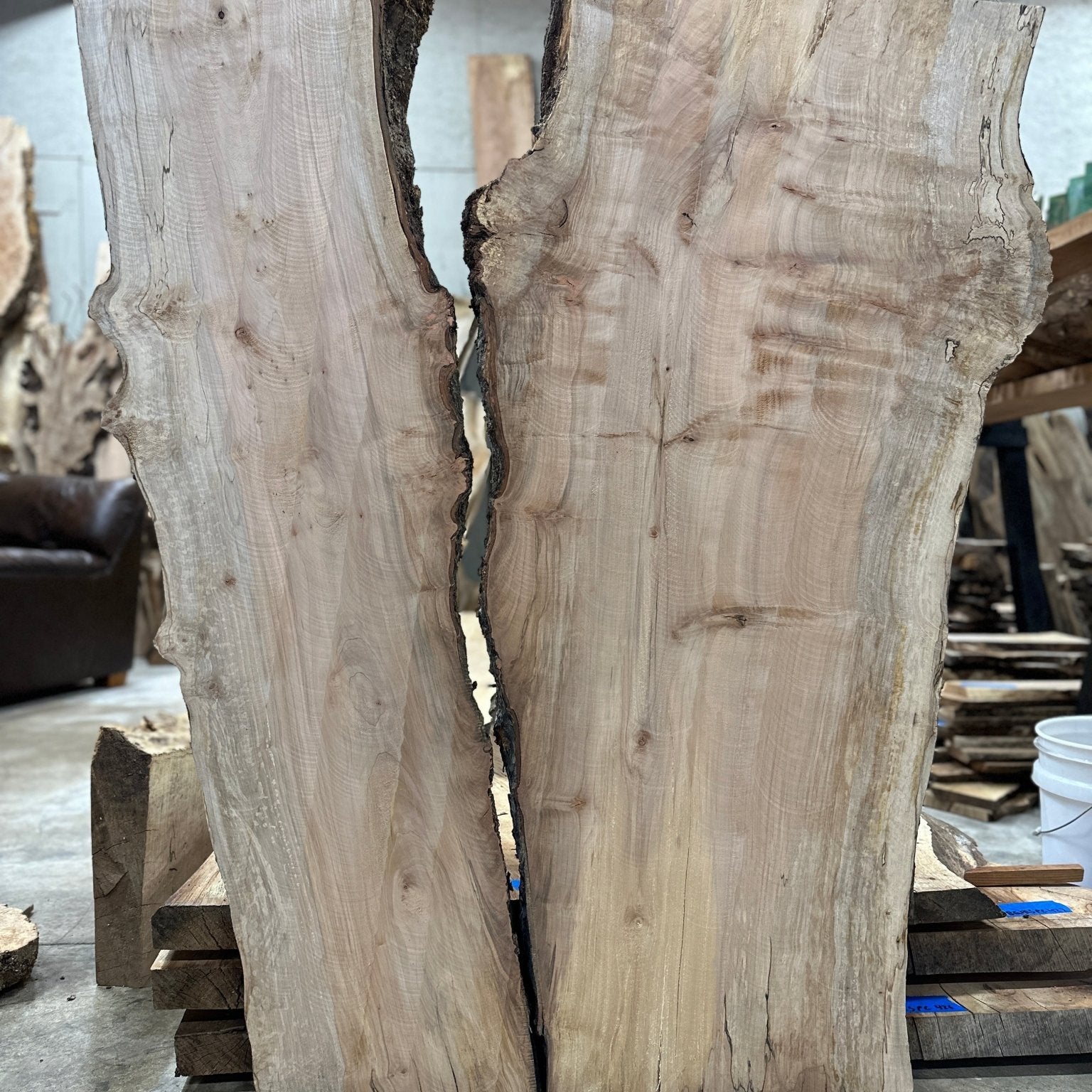 LiveEdge Silver Maple | Silver Maple | Hamilton Lee Supply