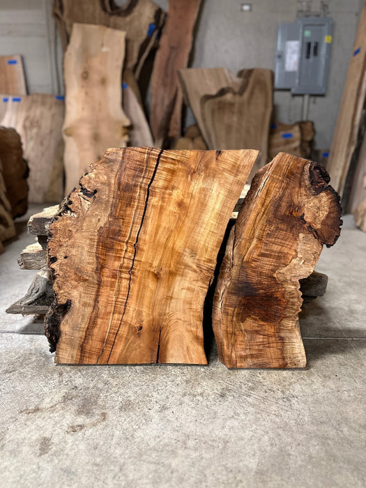 Double Diamond | LiveEdge Silver Maple | Silver Maple | Hamilton Lee Supply