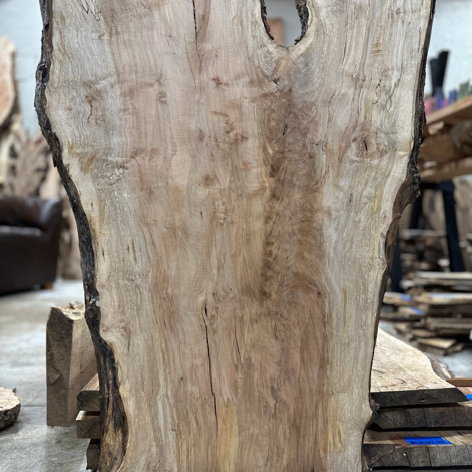 LiveEdge Silver Maple | Silver Maple | Hamilton Lee Supply