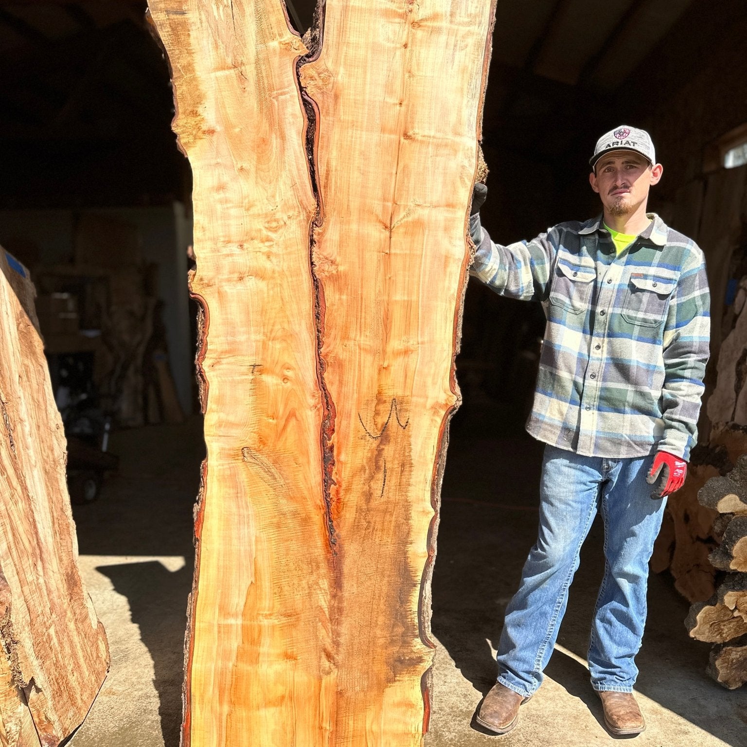 LiveEdge Silver Maple | Silver Maple | Hamilton Lee Supply