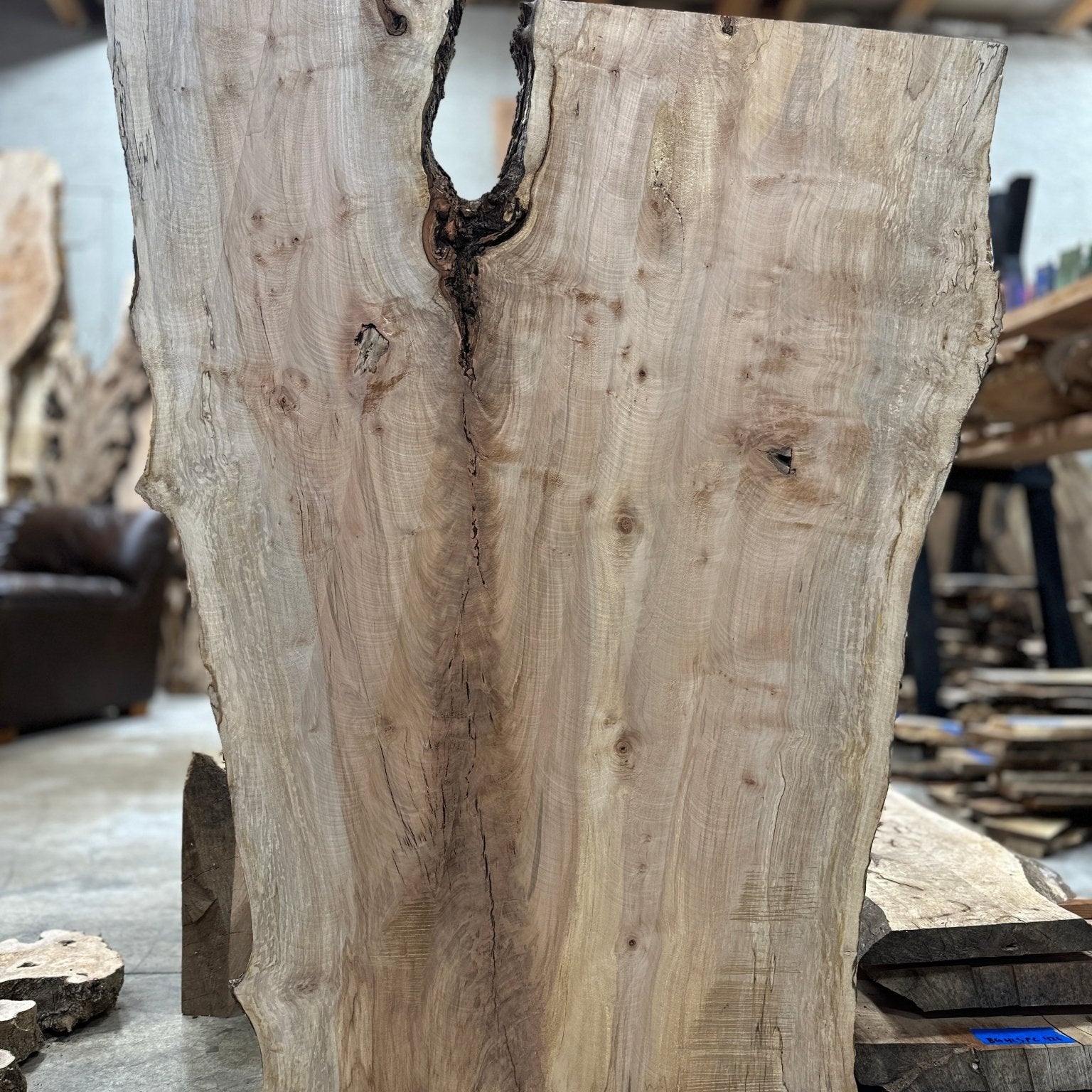 LiveEdge Silver Maple | Silver Maple | Hamilton Lee Supply