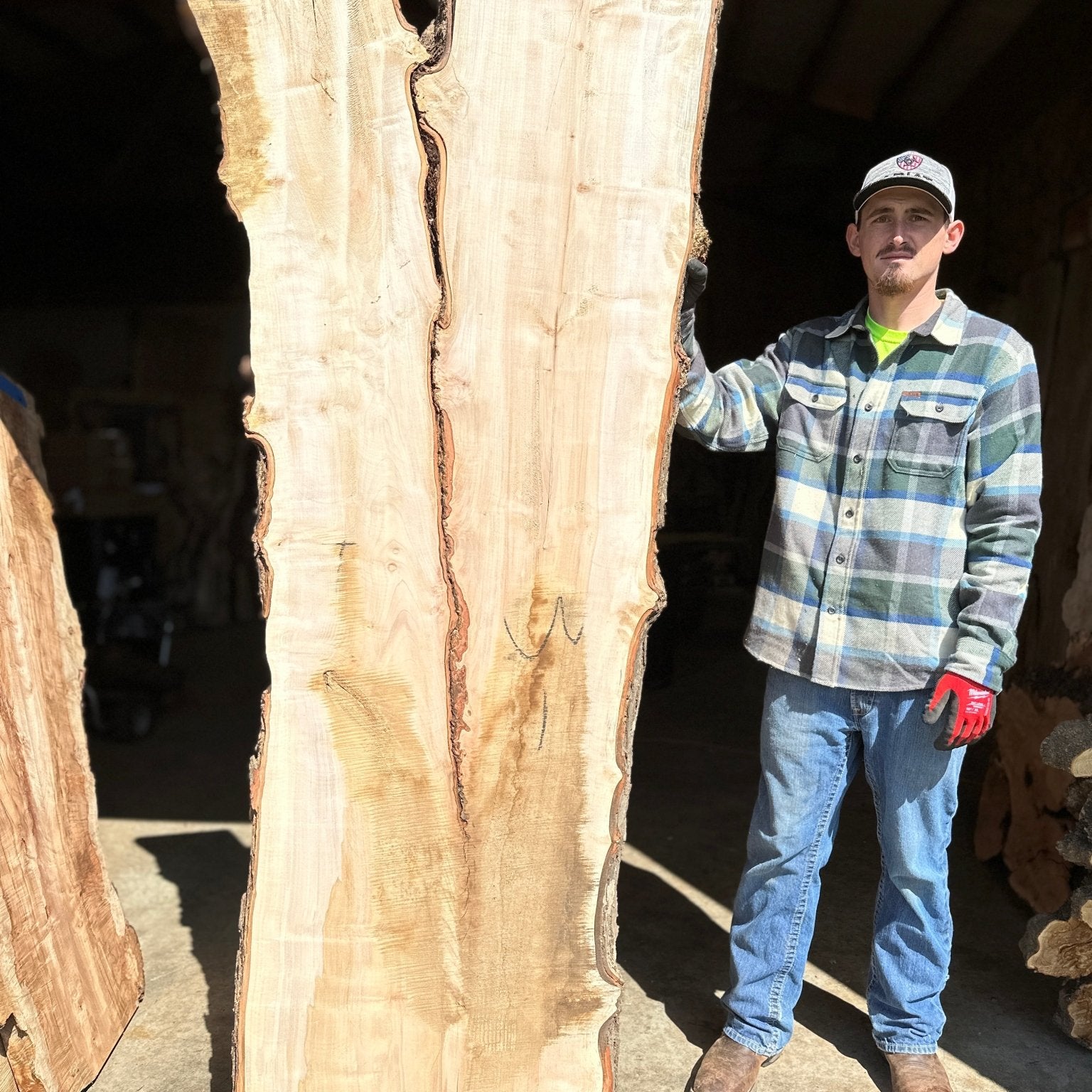 LiveEdge Silver Maple | Silver Maple | Hamilton Lee Supply