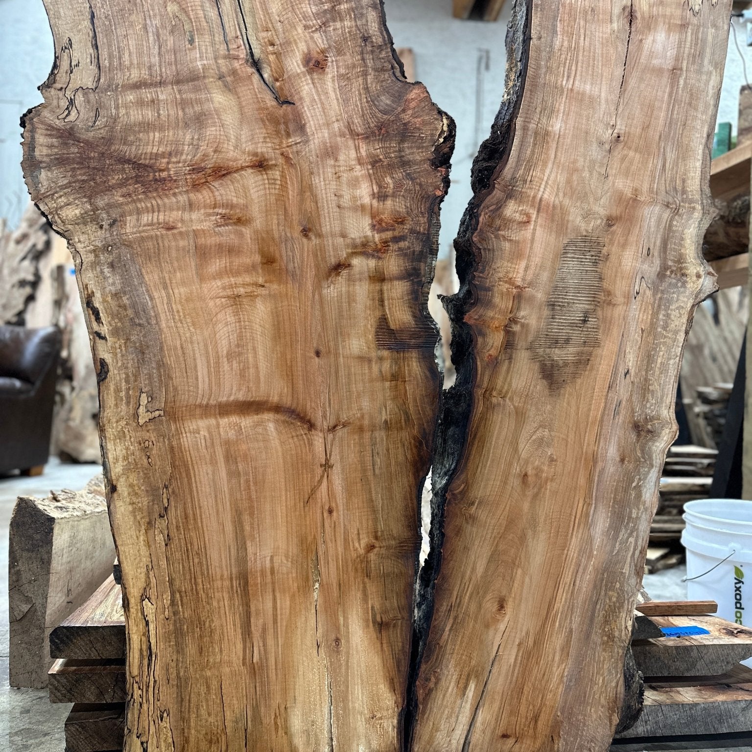 LiveEdge Silver Maple | Silver Maple | Hamilton Lee Supply