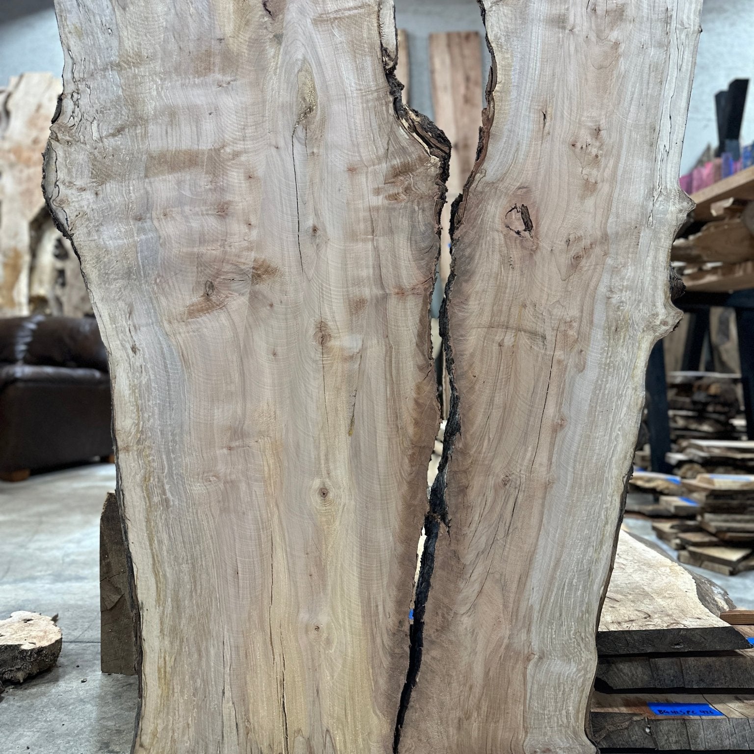 LiveEdge Silver Maple | Silver Maple | Hamilton Lee Supply