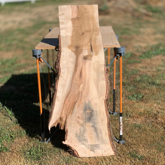 Double Diamond - LiveEdge Silver Maple - Hamilton Lee Supply