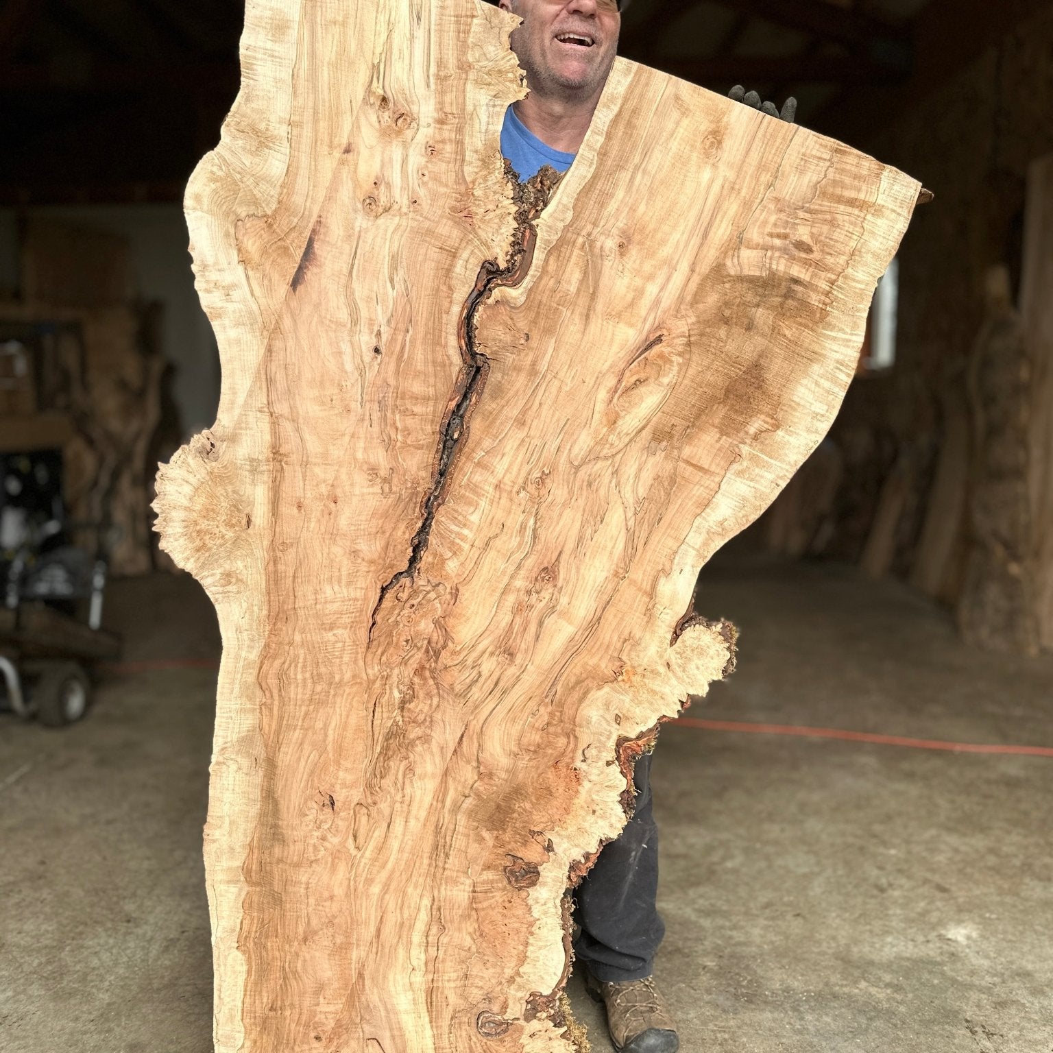 LiveEdge Silver Maple | Silver Maple | Hamilton Lee Supply