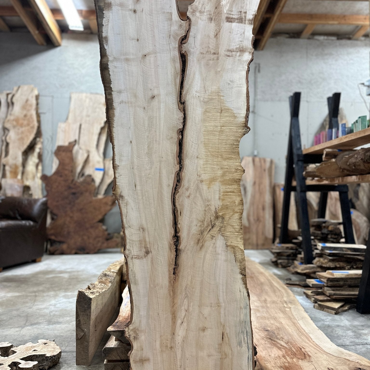 LiveEdge Silver Maple | Silver Maple | Hamilton Lee Supply