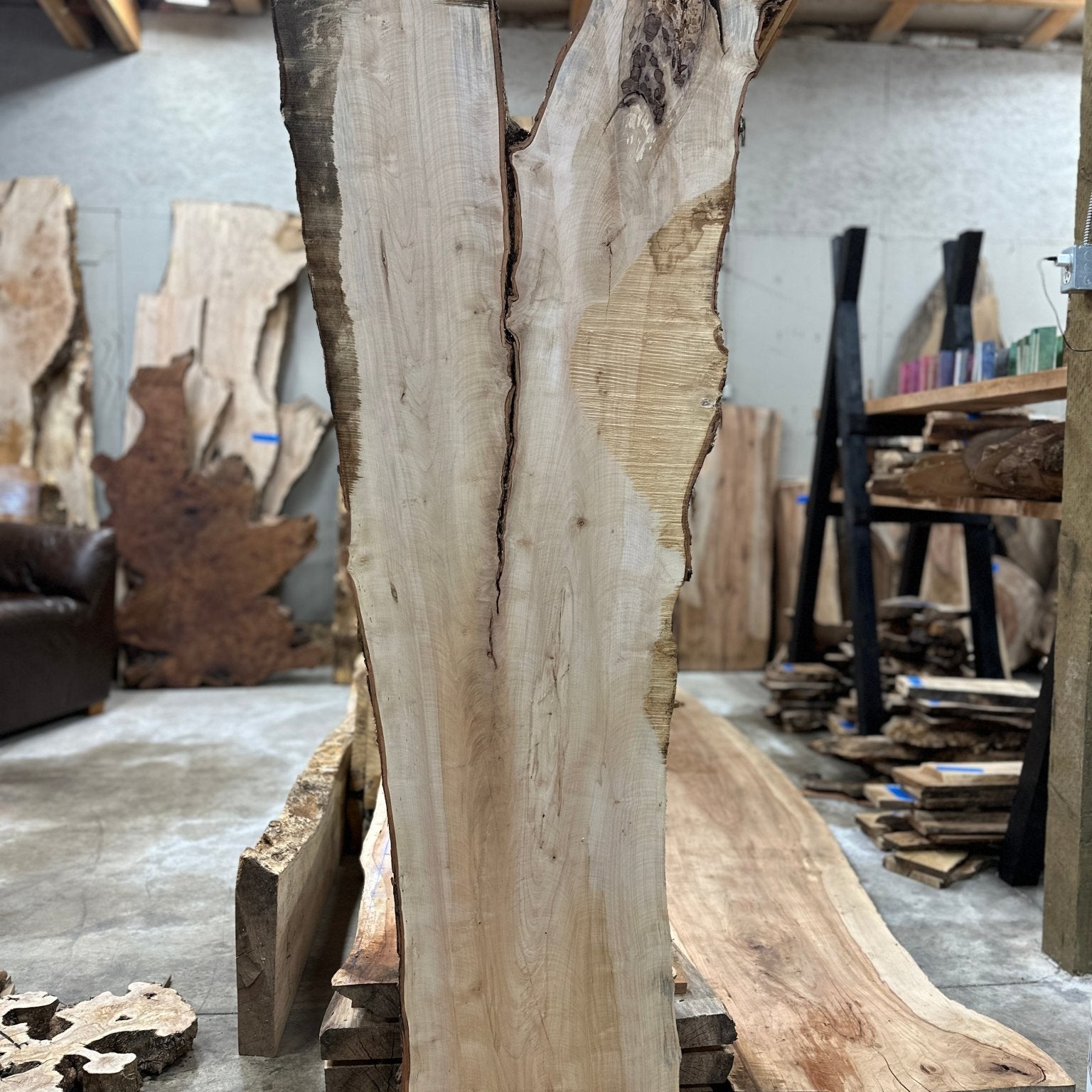 LiveEdge Silver Maple | Silver Maple | Hamilton Lee Supply