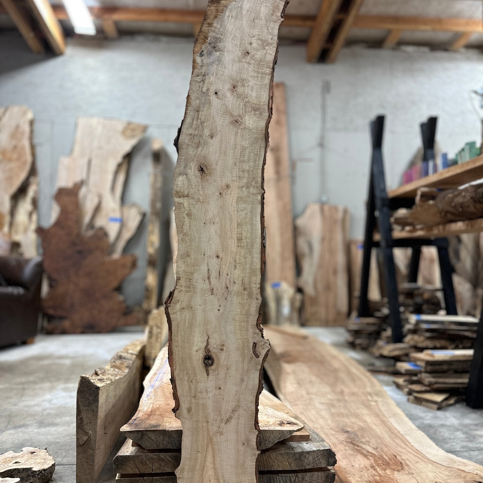 LiveEdge Silver Maple | Silver Maple | Hamilton Lee Supply