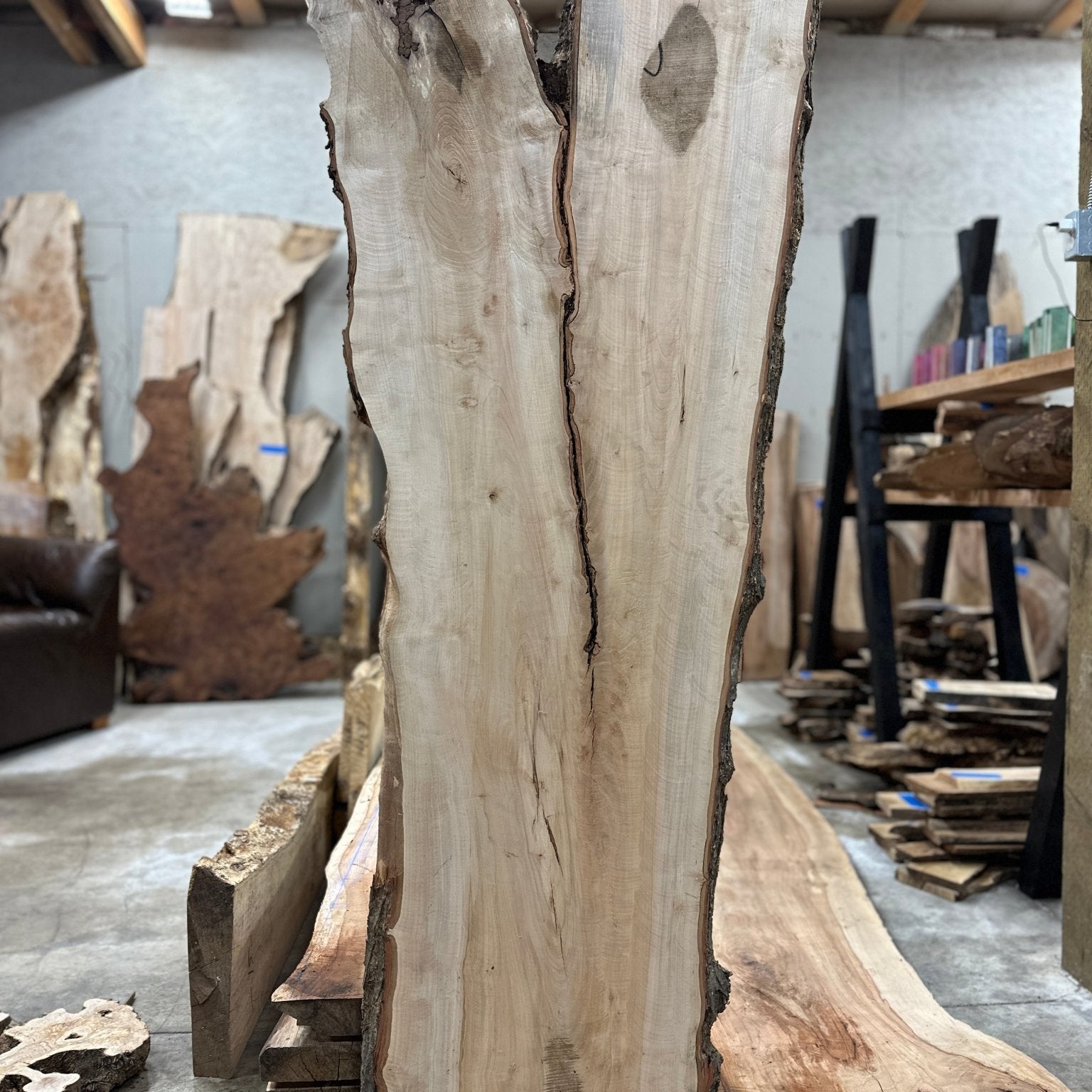 LiveEdge Silver Maple | Silver Maple | Hamilton Lee Supply