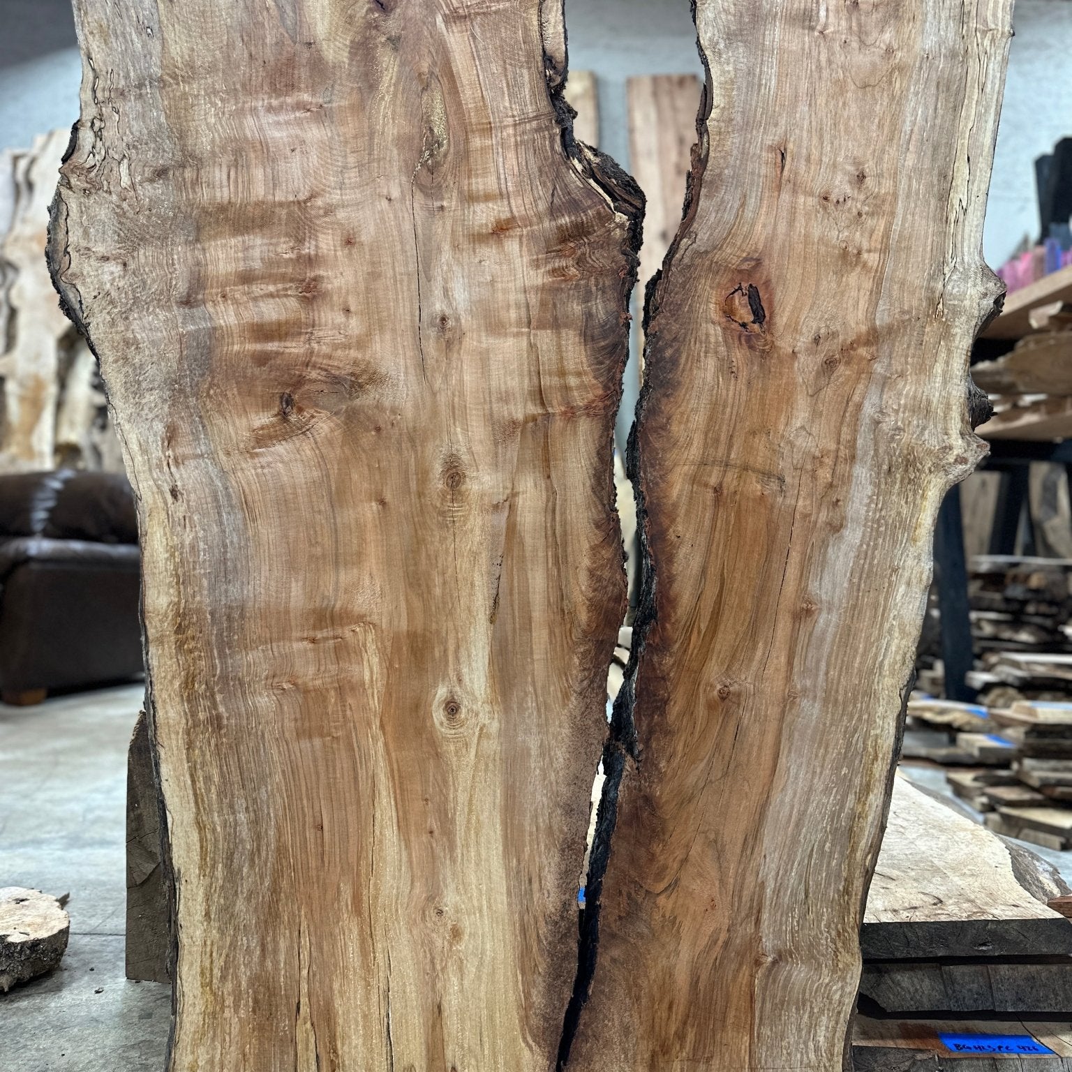 LiveEdge Silver Maple | Silver Maple | Hamilton Lee Supply