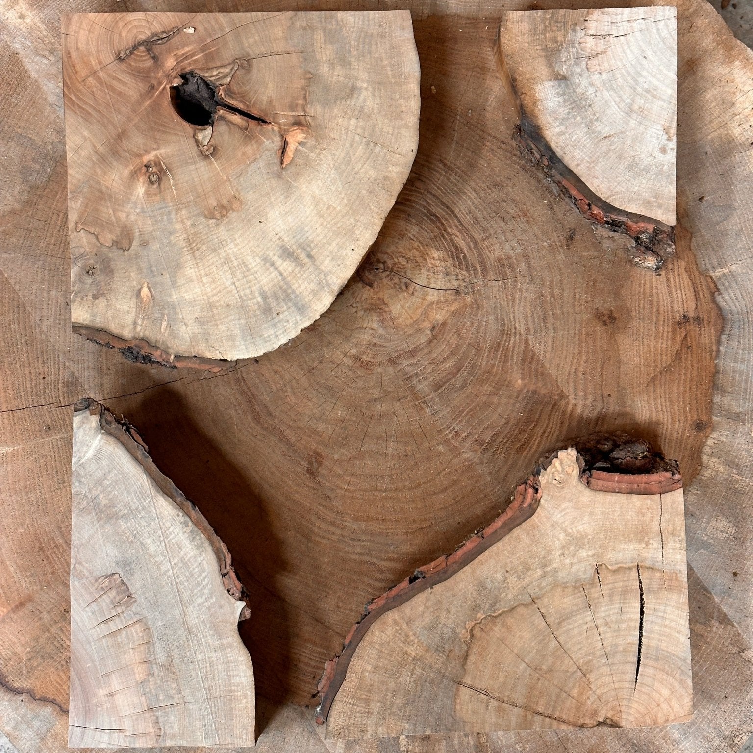 LiveEdge Silver Maple Cookie | Silver Maple | Hamilton Lee Supply