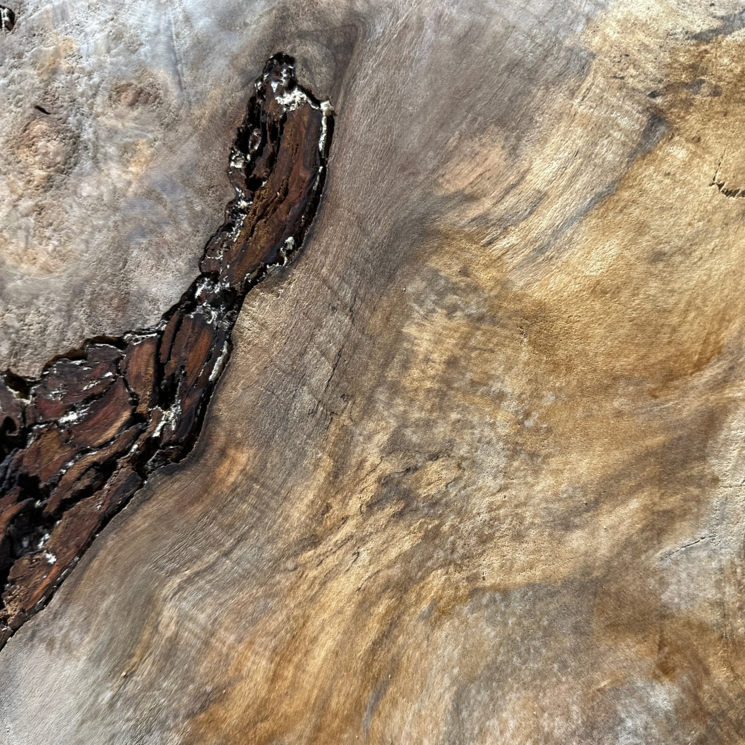 LiveEdge Silver Maple | Silver Maple | Hamilton Lee Supply