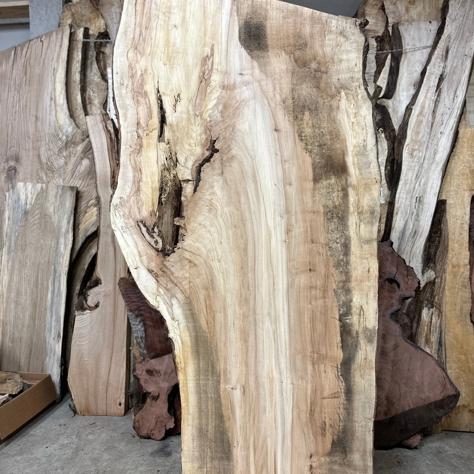 LiveEdge Silver Maple | Silver Maple | Hamilton Lee Supply