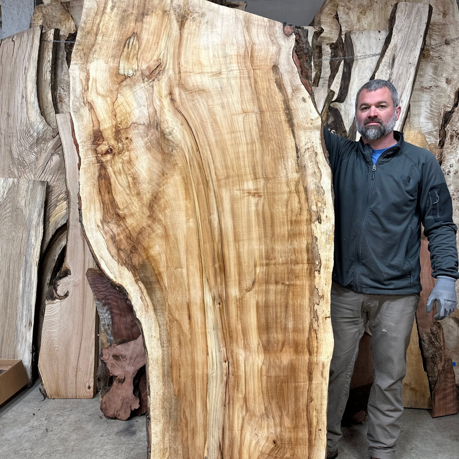 LiveEdge Silver Maple | Silver Maple | Hamilton Lee Supply