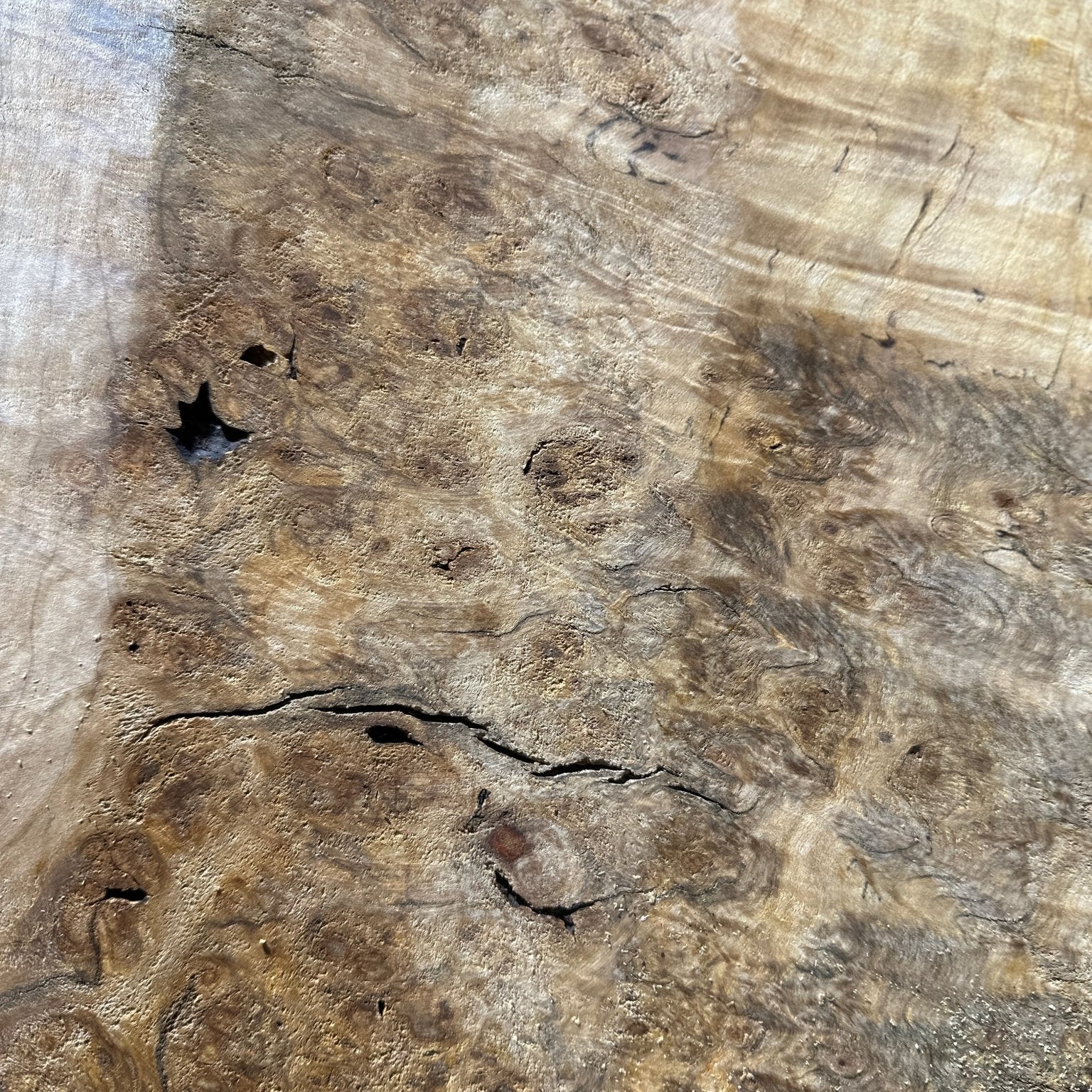 LiveEdge Silver Maple | Silver Maple | Hamilton Lee Supply