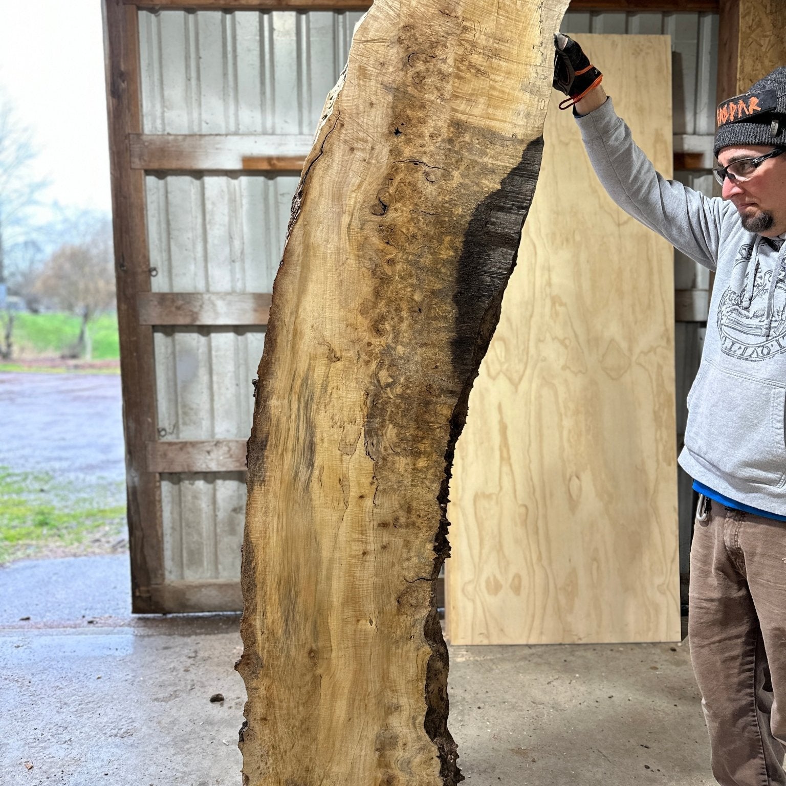 LiveEdge Silver Maple | Silver Maple | Hamilton Lee Supply