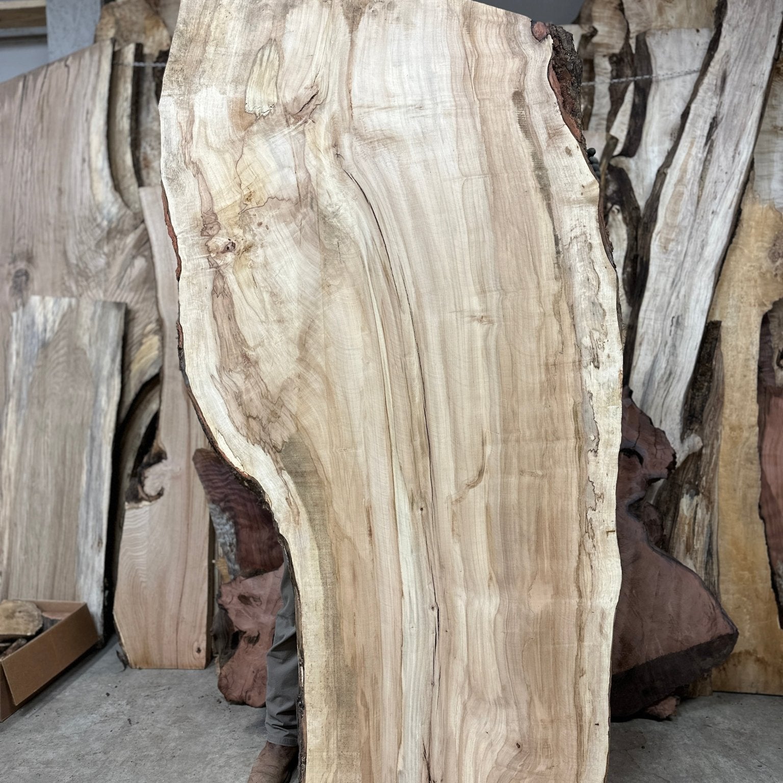 LiveEdge Silver Maple | Silver Maple | Hamilton Lee Supply