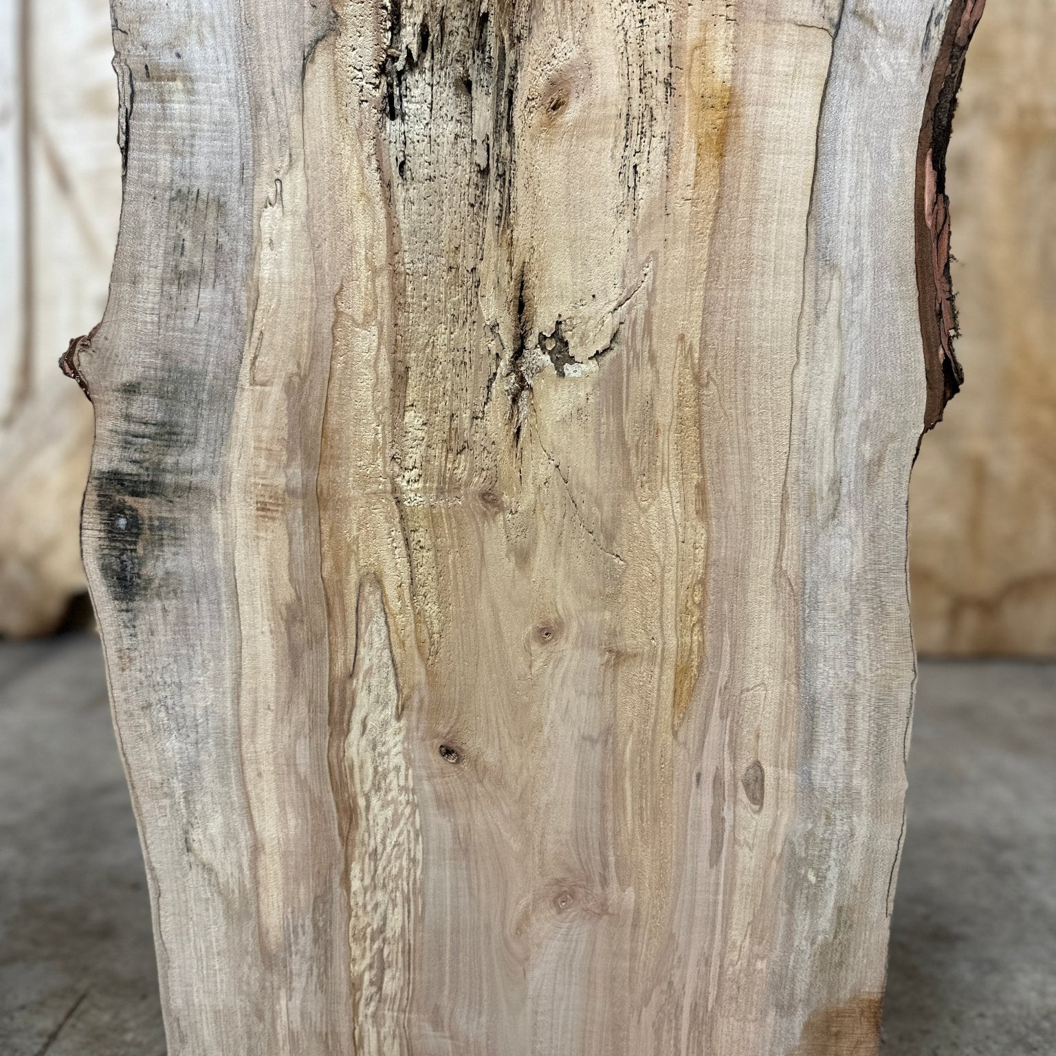 LiveEdge Silver Maple | Silver Maple | Hamilton Lee Supply