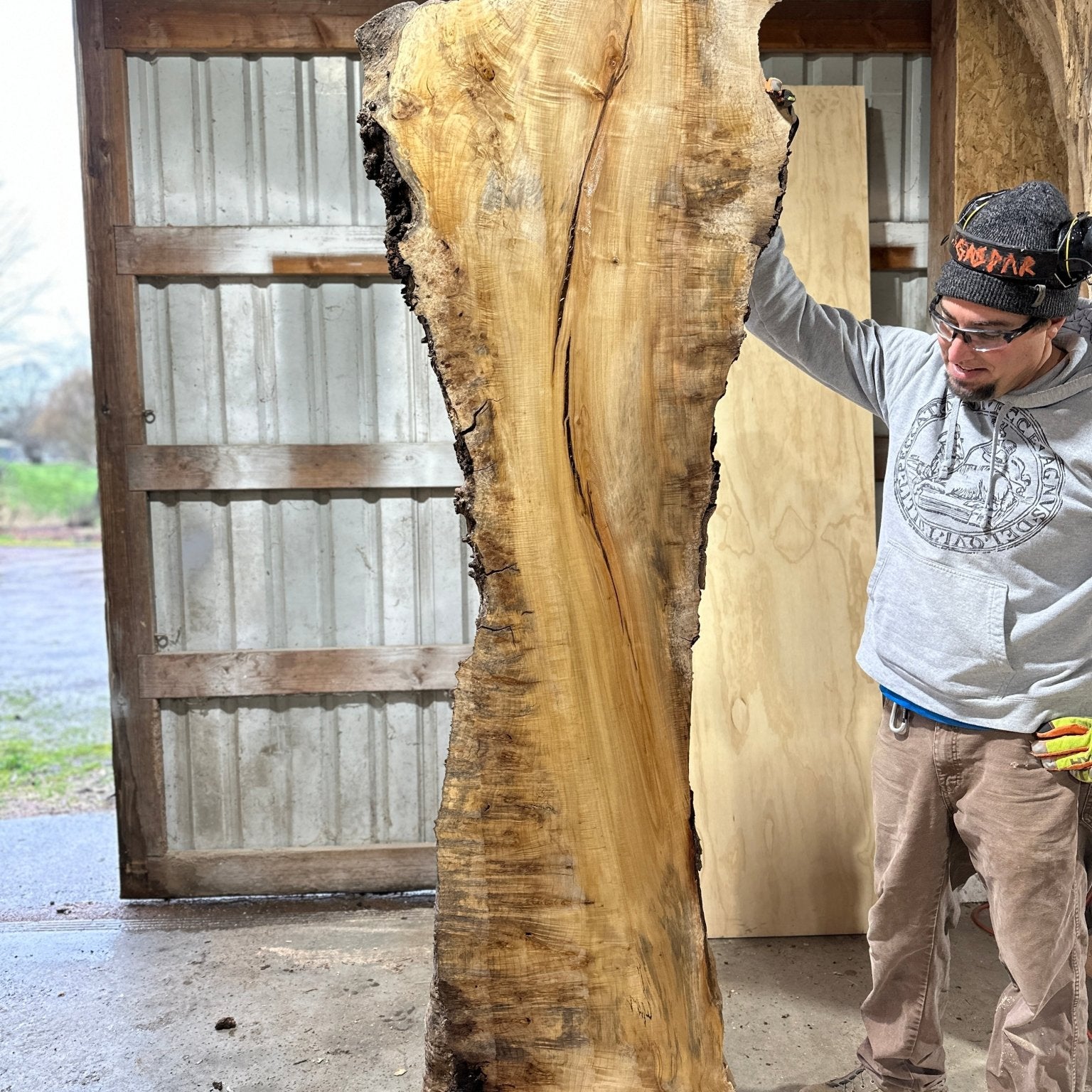 LiveEdge Silver Maple | Silver Maple | Hamilton Lee Supply