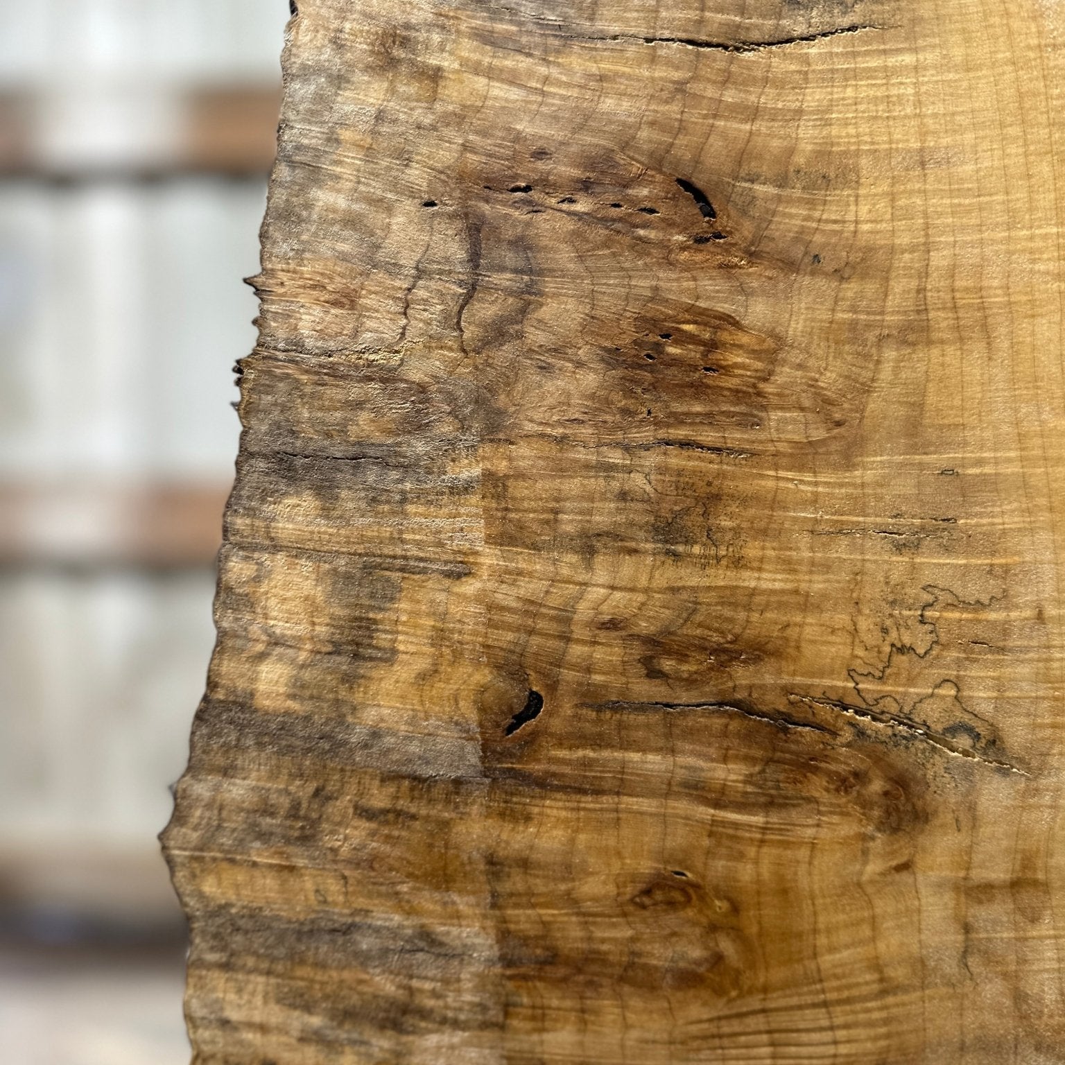 LiveEdge Silver Maple | Silver Maple | Hamilton Lee Supply