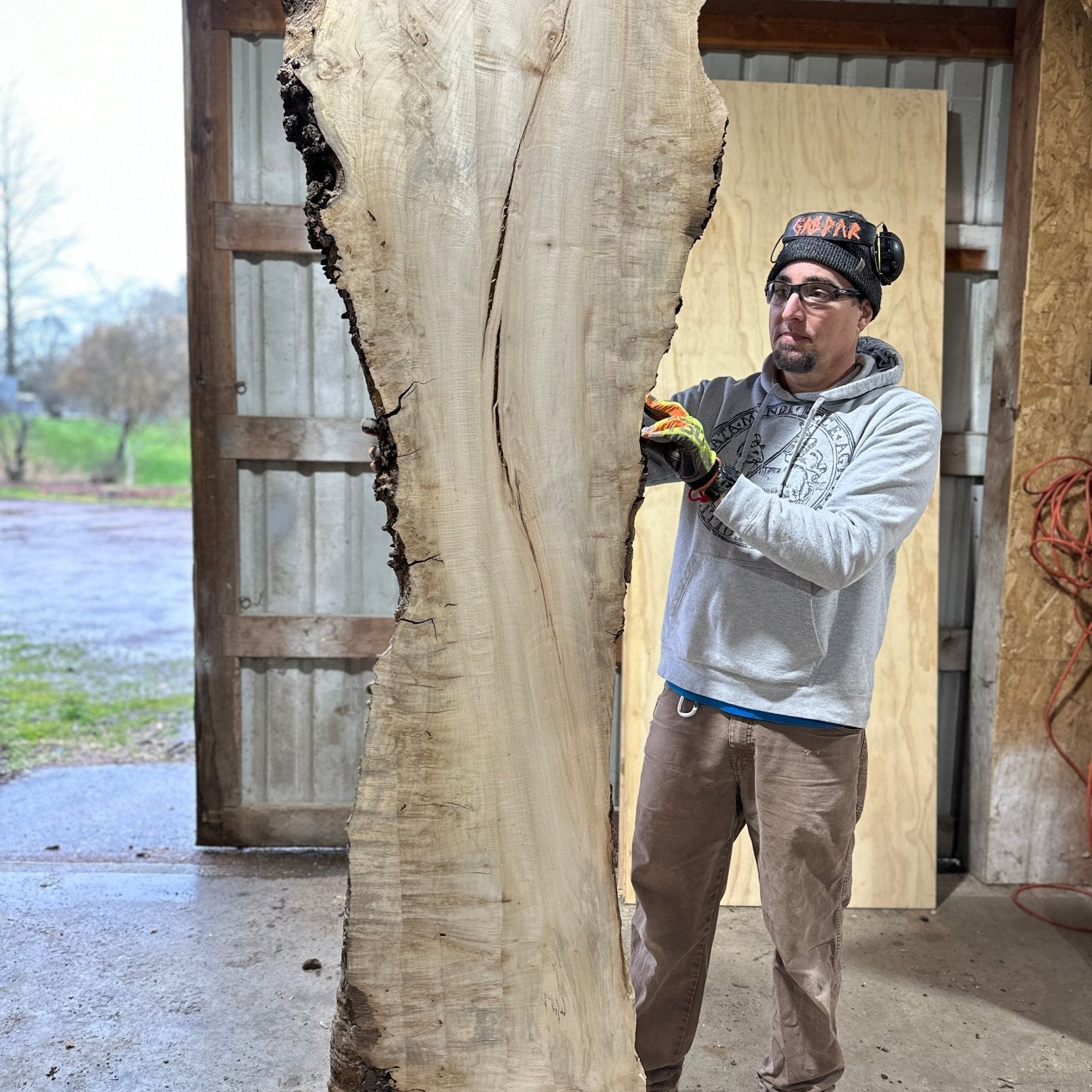 LiveEdge Silver Maple | Silver Maple | Hamilton Lee Supply