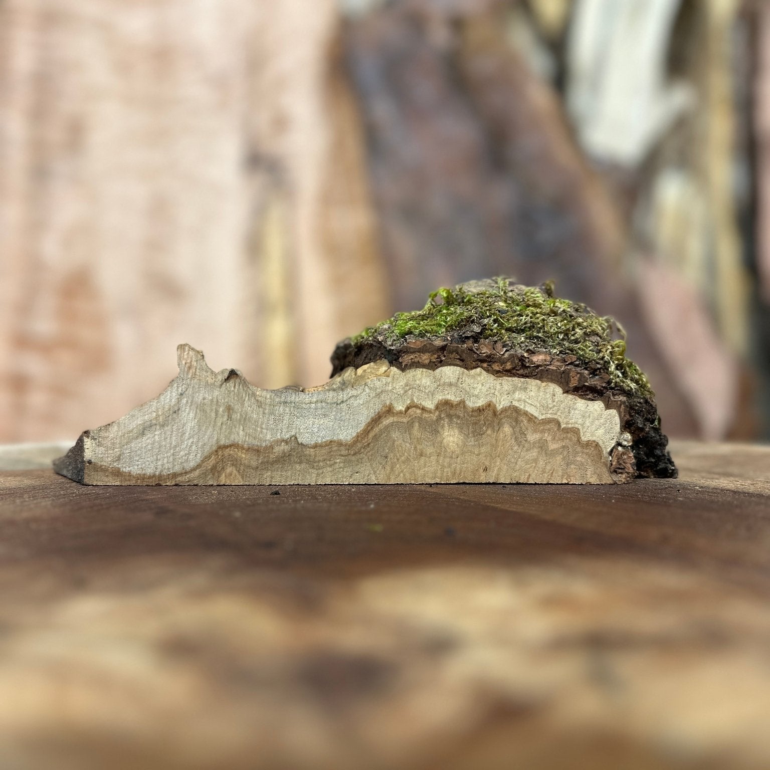 LiveEdge Silver Maple | Silver Maple | Hamilton Lee Supply