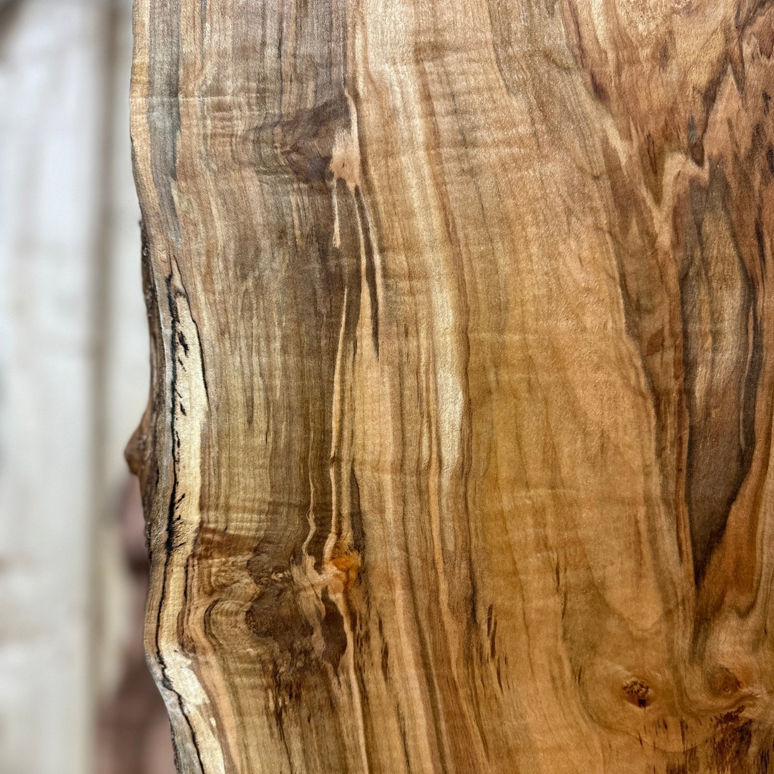 LiveEdge Silver Maple | Silver Maple | Hamilton Lee Supply
