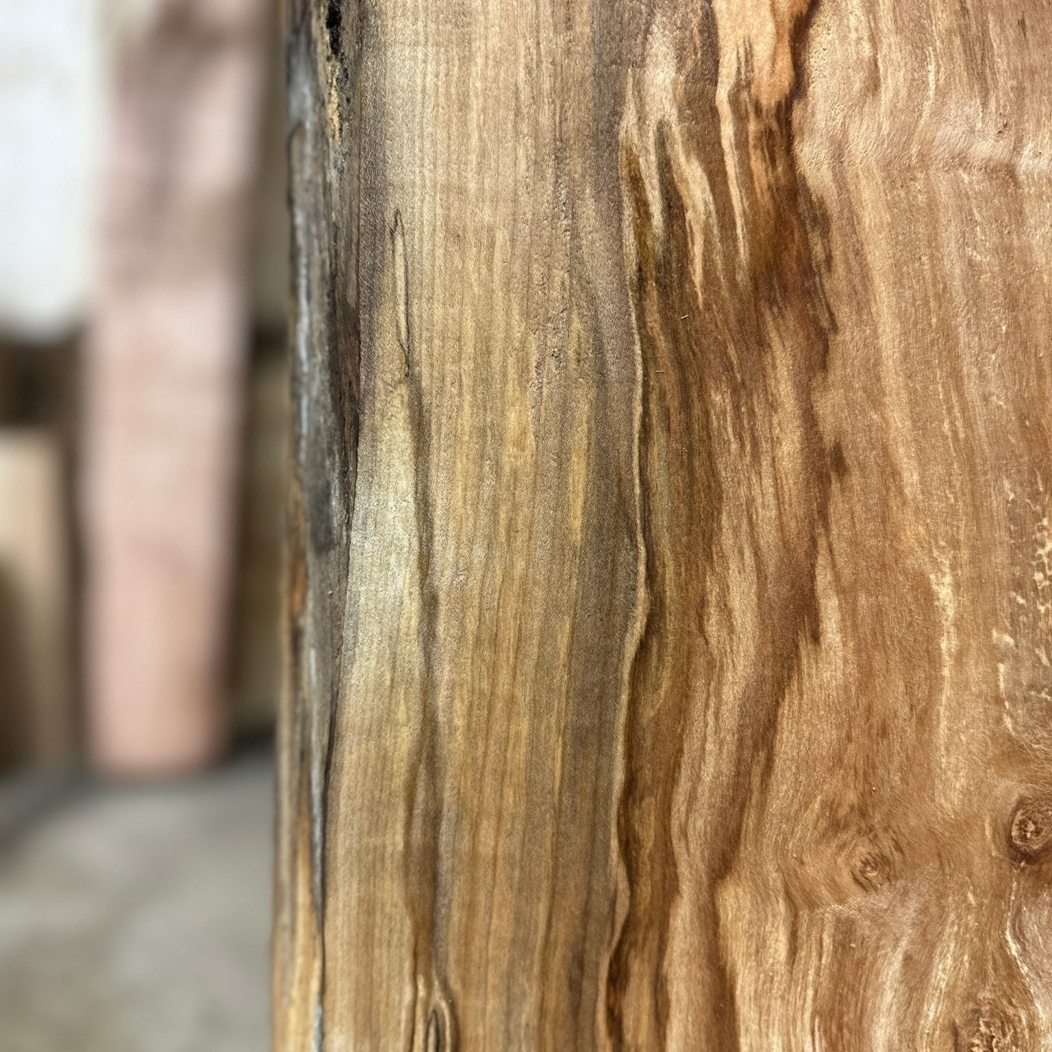 LiveEdge Silver Maple | Silver Maple | Hamilton Lee Supply