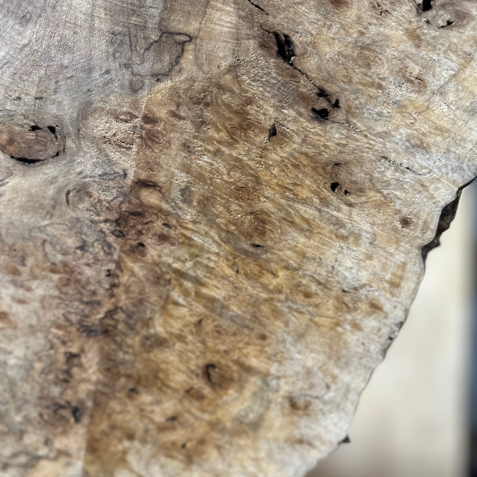 LiveEdge Silver Maple | Silver Maple | Hamilton Lee Supply