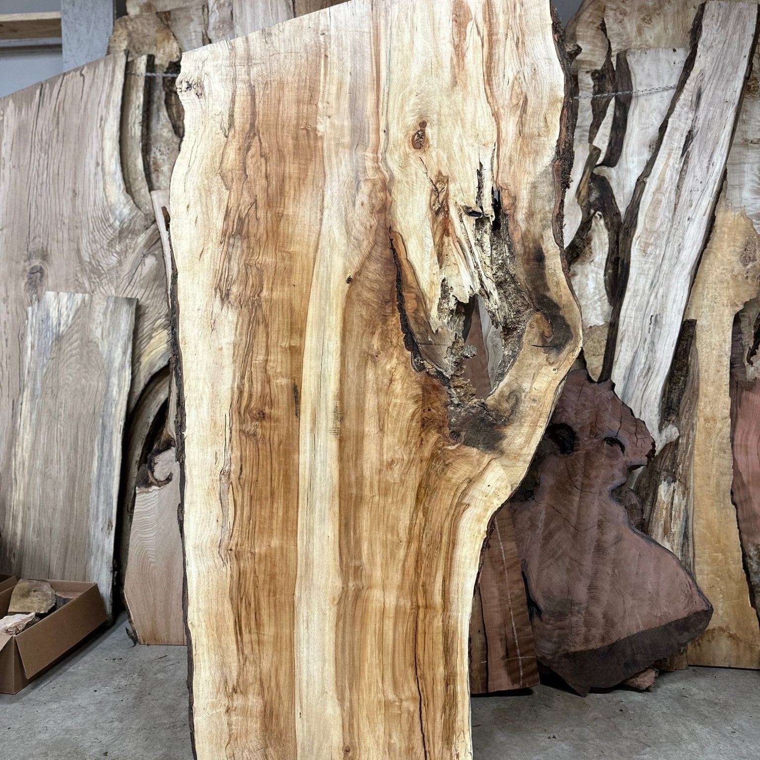 LiveEdge Silver Maple | Silver Maple | Hamilton Lee Supply