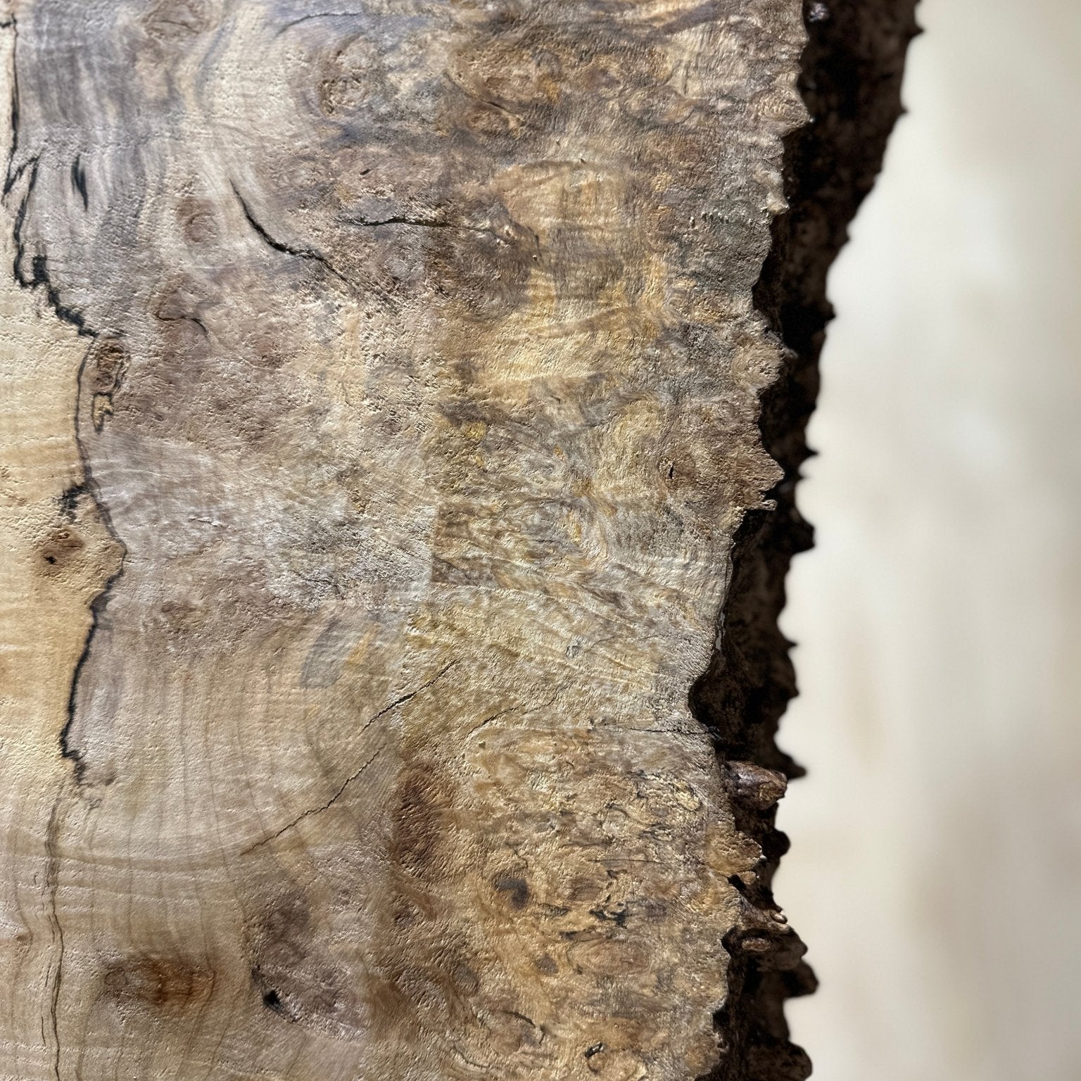 LiveEdge Silver Maple | Silver Maple | Hamilton Lee Supply