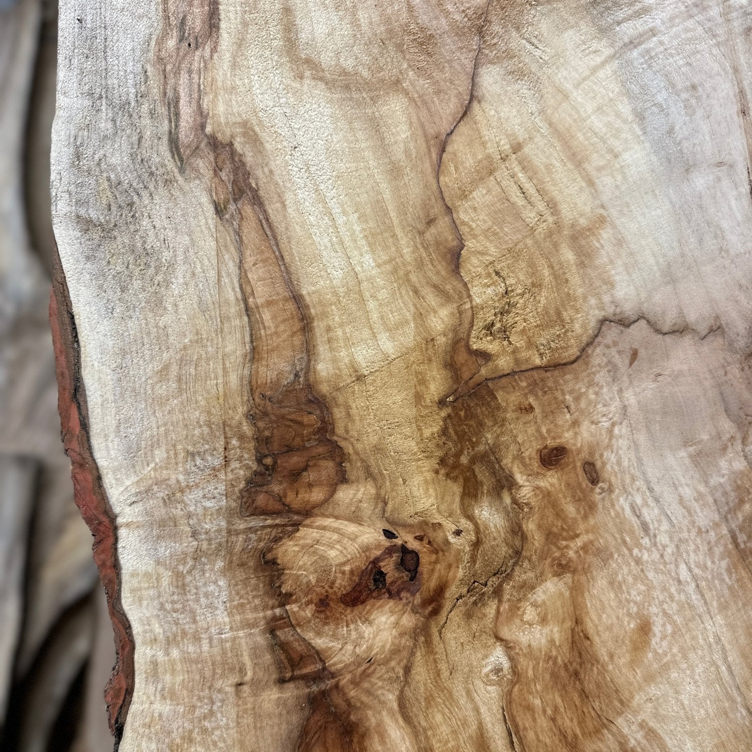 LiveEdge Silver Maple | Silver Maple | Hamilton Lee Supply