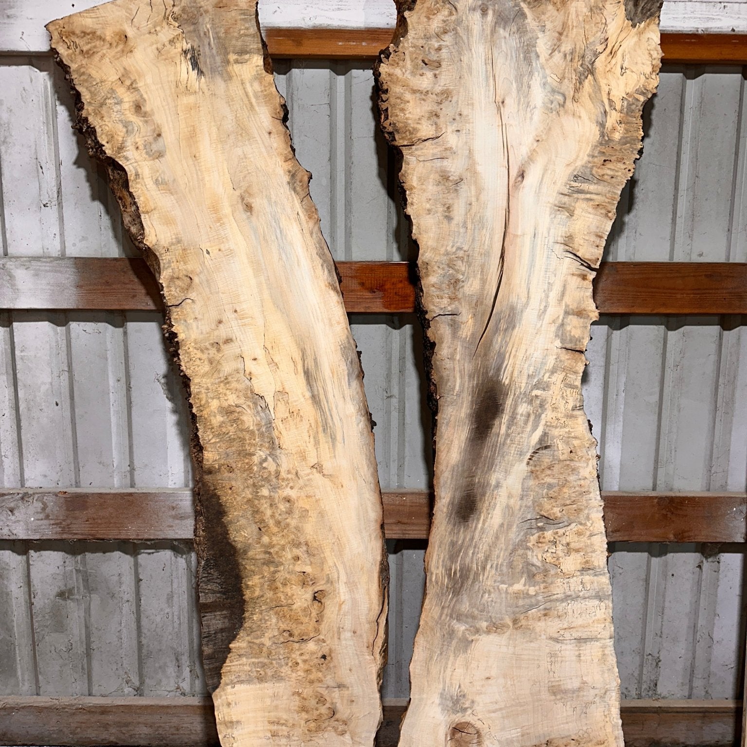 LiveEdge Silver Maple | Silver Maple | Hamilton Lee Supply