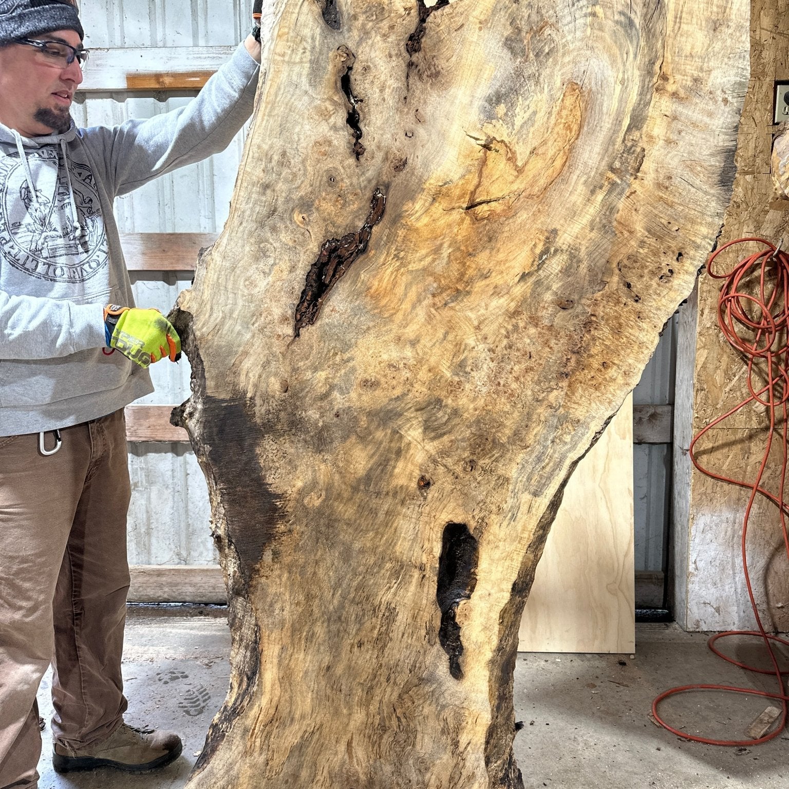 LiveEdge Silver Maple | Silver Maple | Hamilton Lee Supply