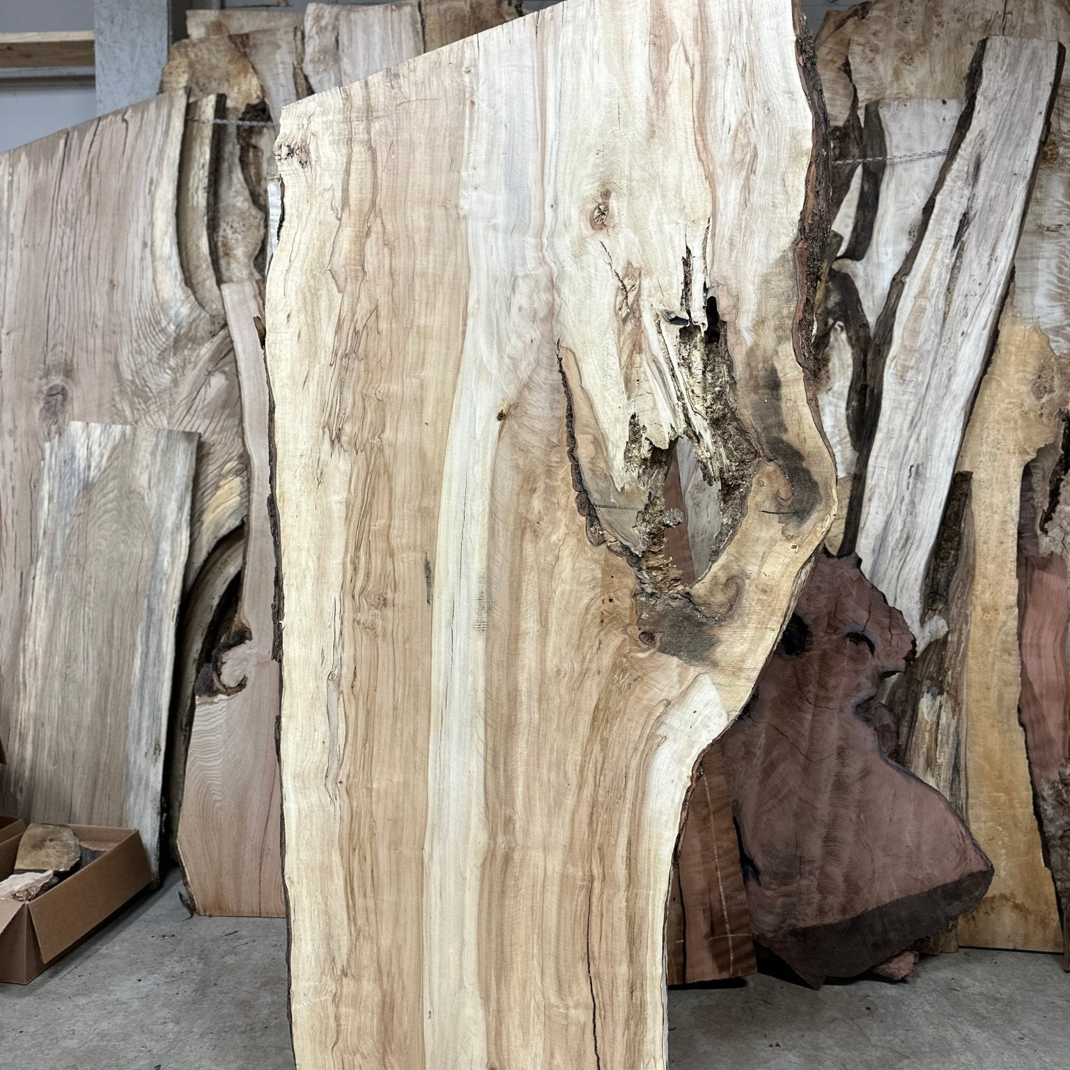 LiveEdge Silver Maple | Silver Maple | Hamilton Lee Supply