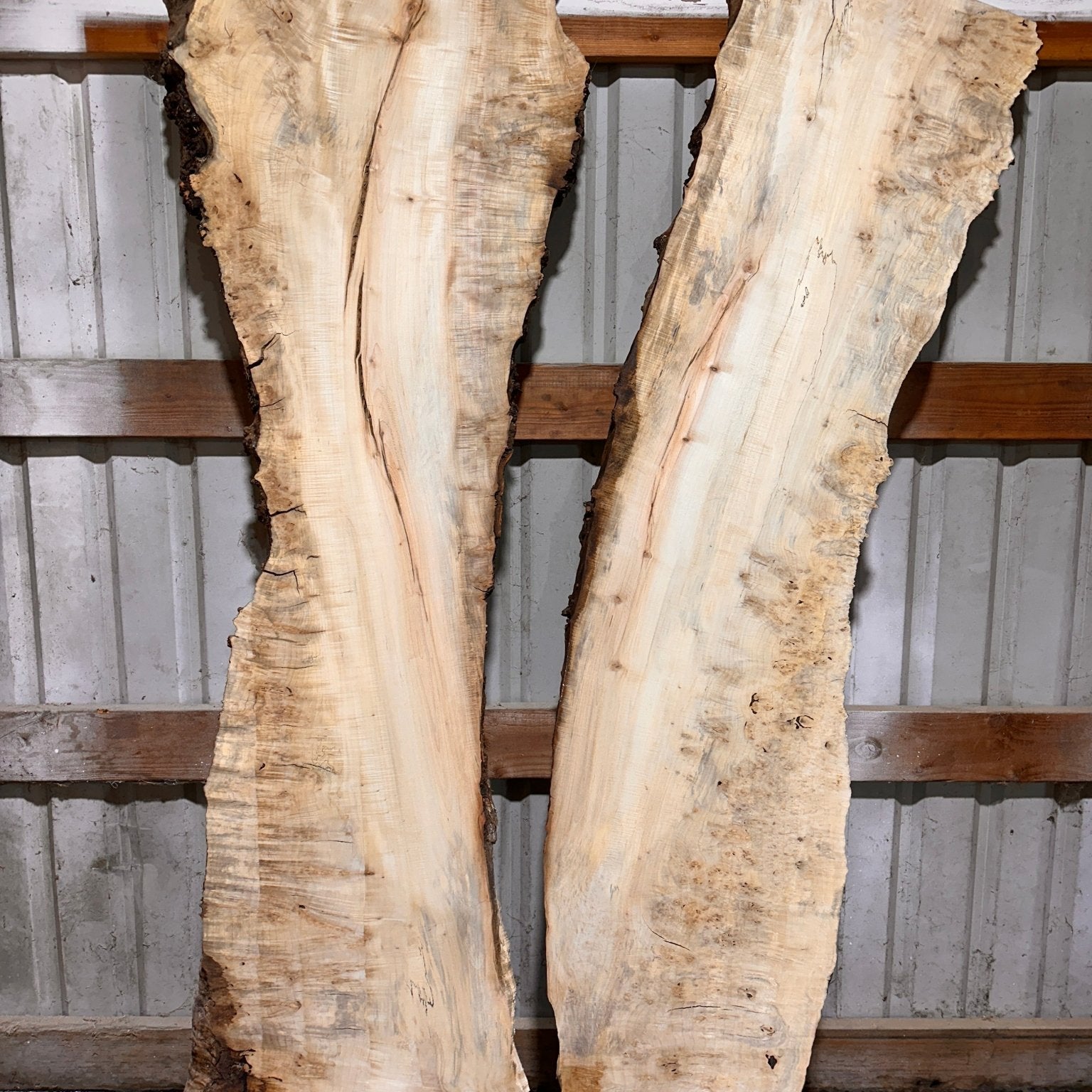LiveEdge Silver Maple | Silver Maple | Hamilton Lee Supply