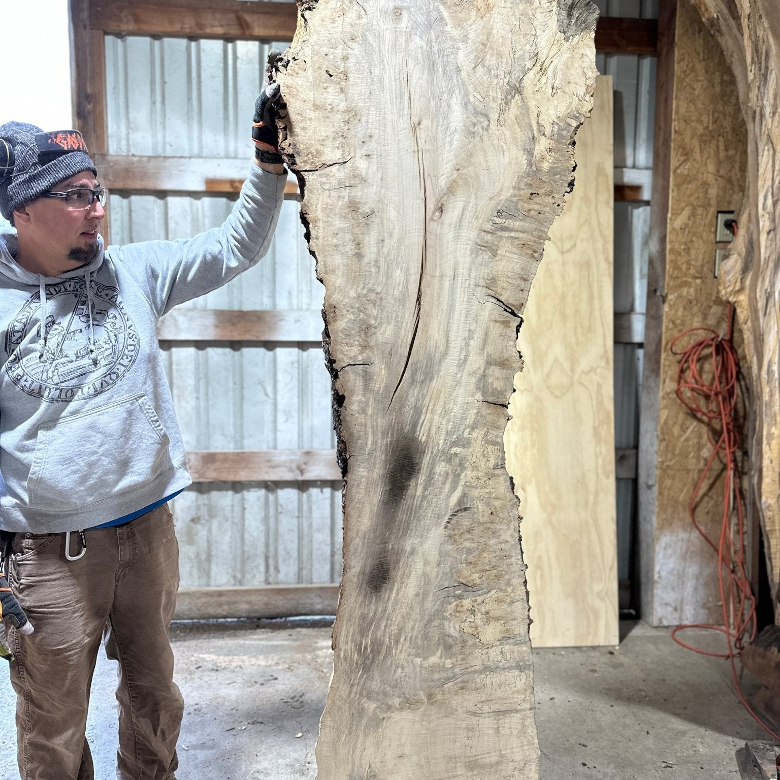 LiveEdge Silver Maple | Silver Maple | Hamilton Lee Supply