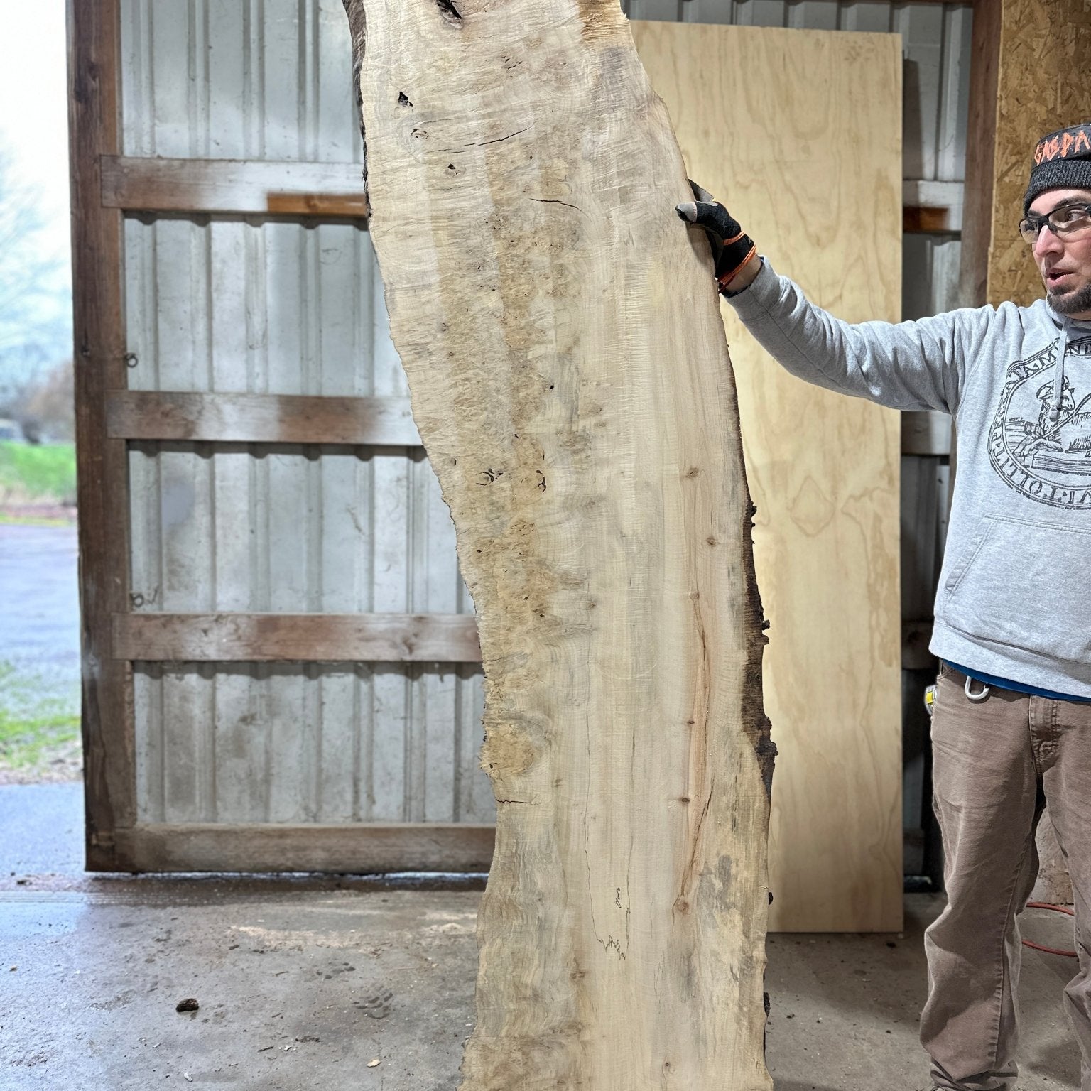 LiveEdge Silver Maple | Silver Maple | Hamilton Lee Supply